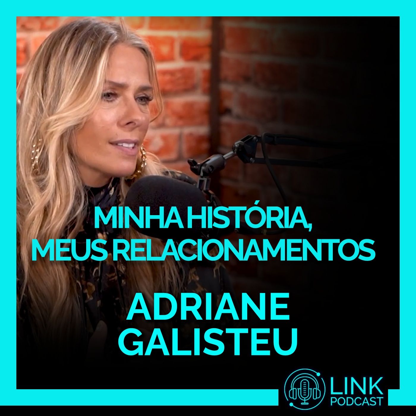 Link Podcast