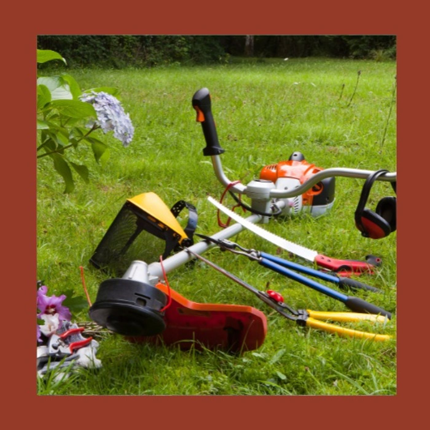 #219  Giardino facile da gestire: meno prato, più biodiversità