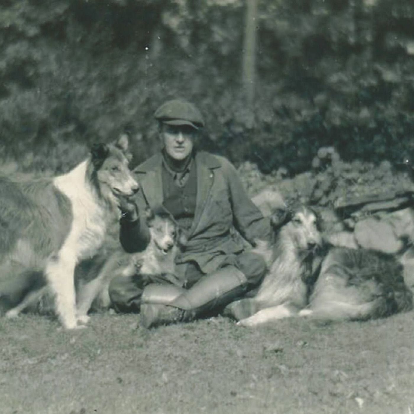 309 Pet Stories
