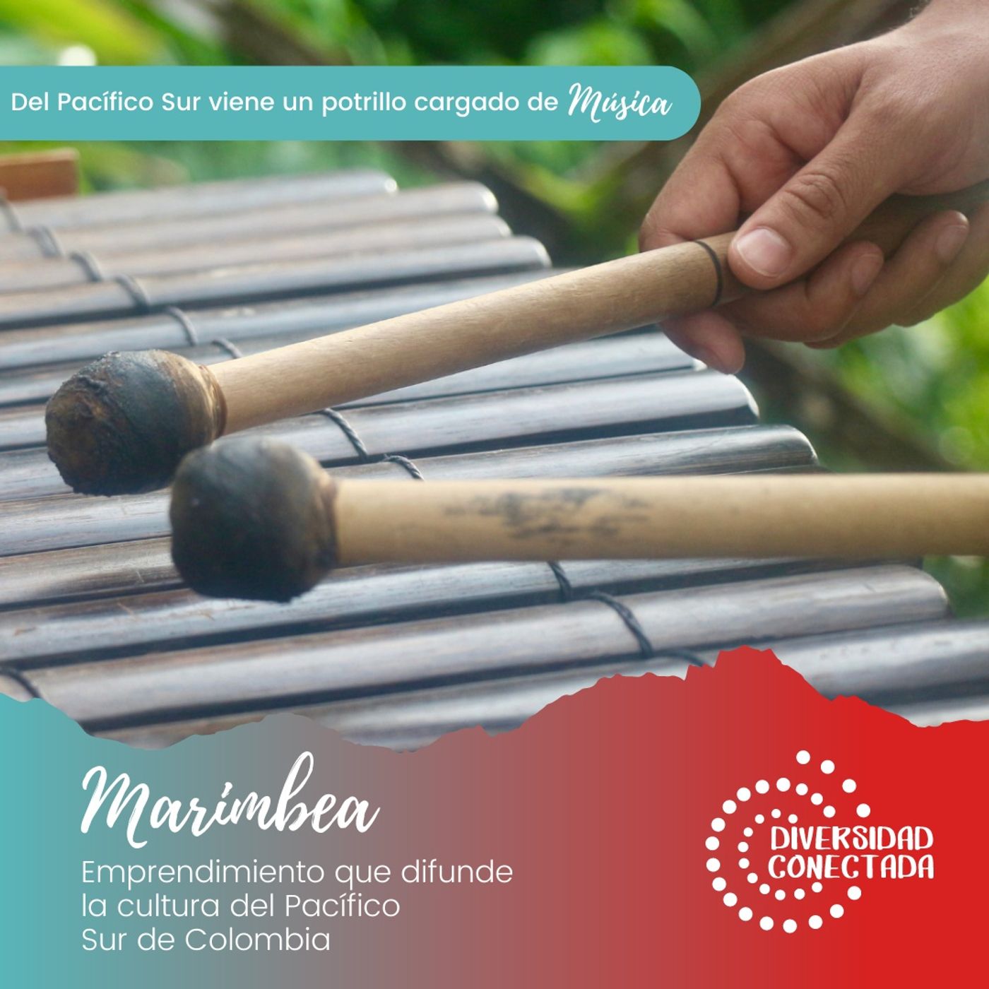Diversidad Conectada