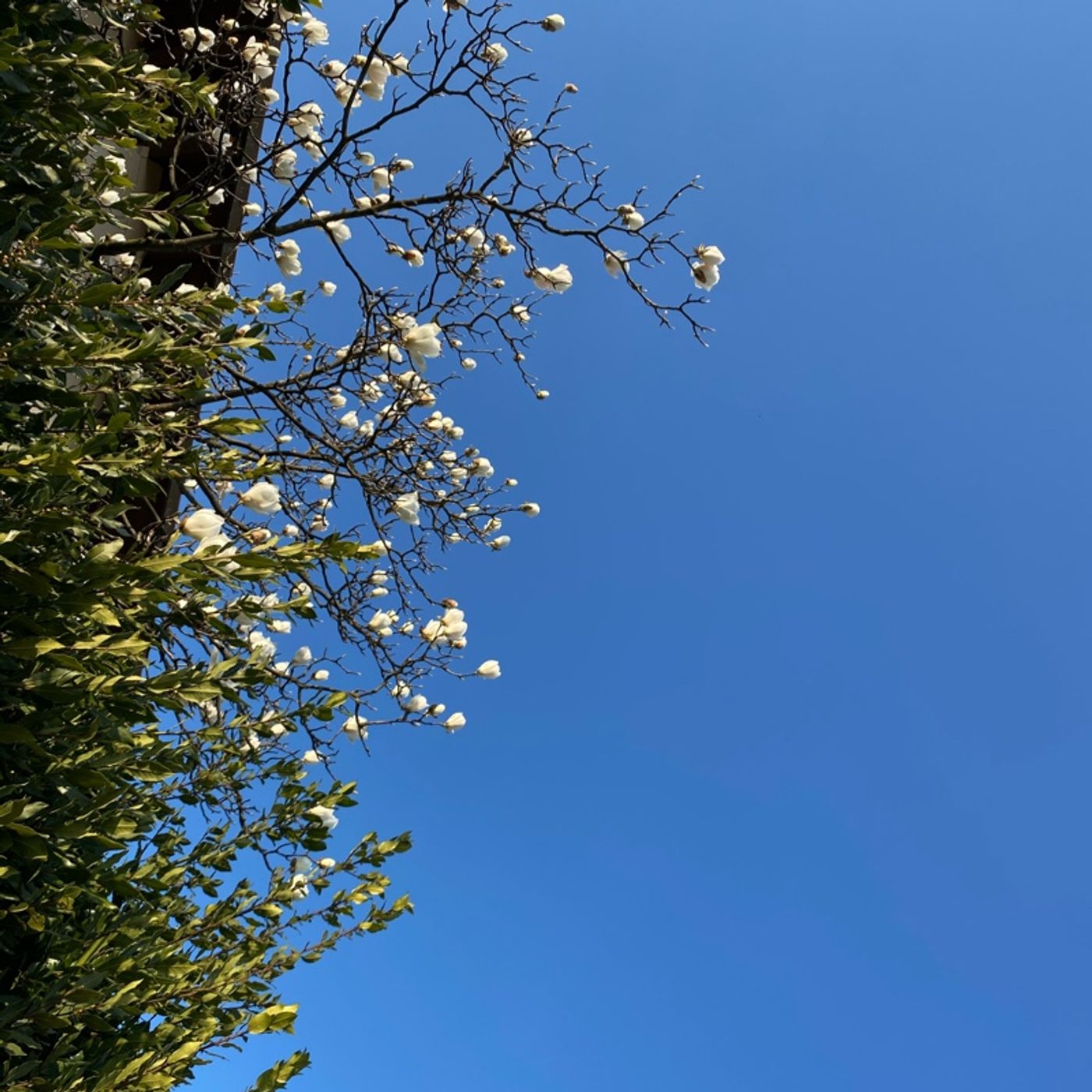 Rilassati e Respira