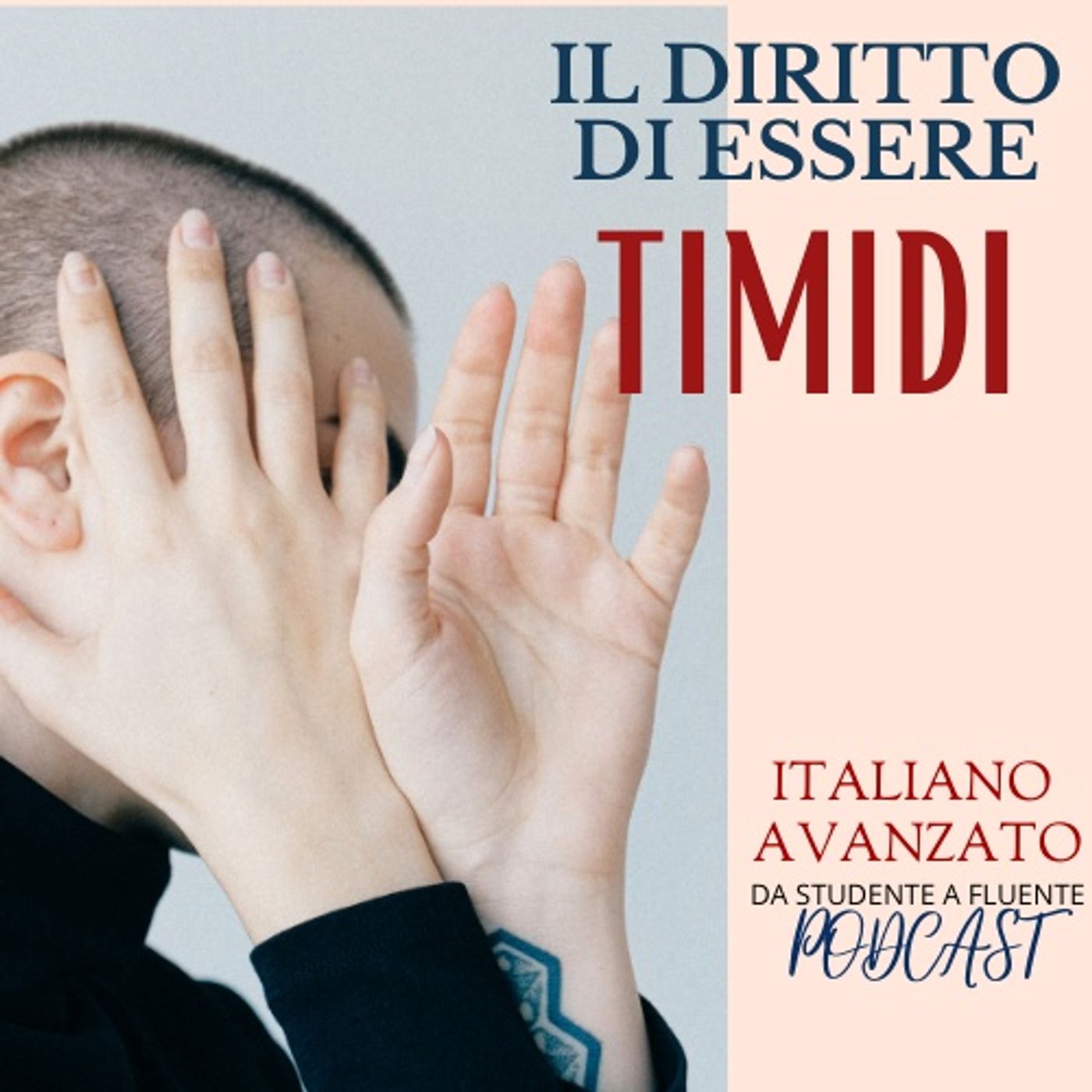 Il diritto di essere timidi episode artwork
