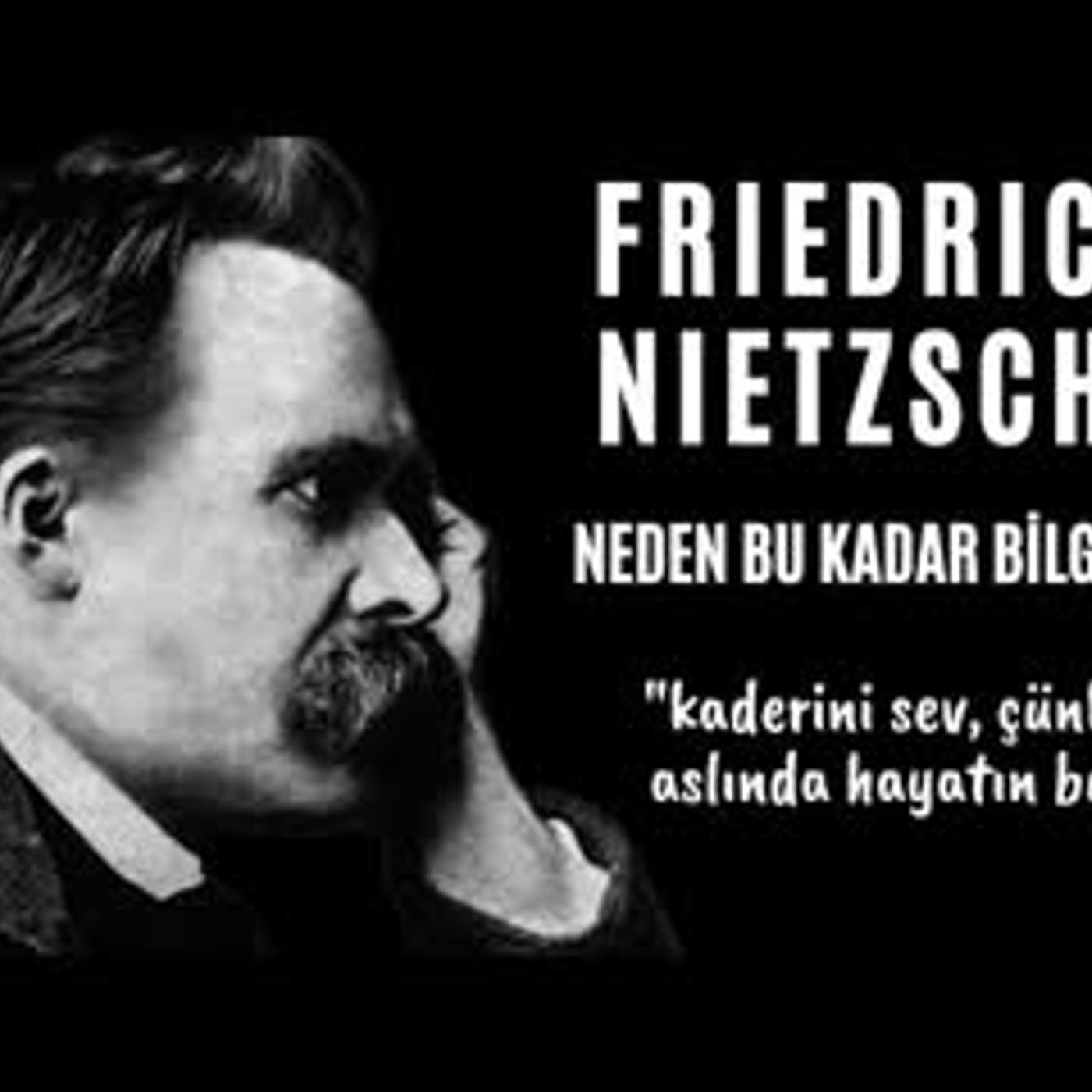 Friedrich Nietzsche - ECCE HOMO - Neden bu kadar bilgeyim - Sesli Kitap Dinle