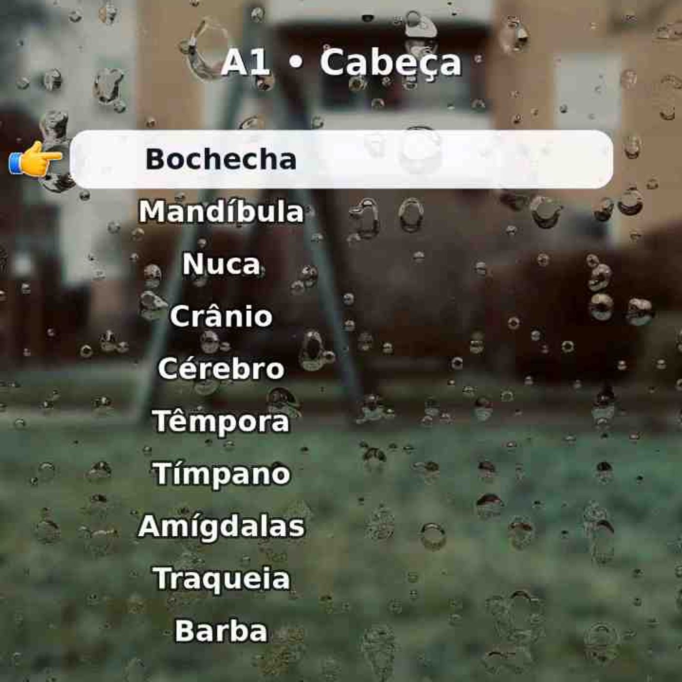 10 palavras sobre «cabeça». Salve para revisar.