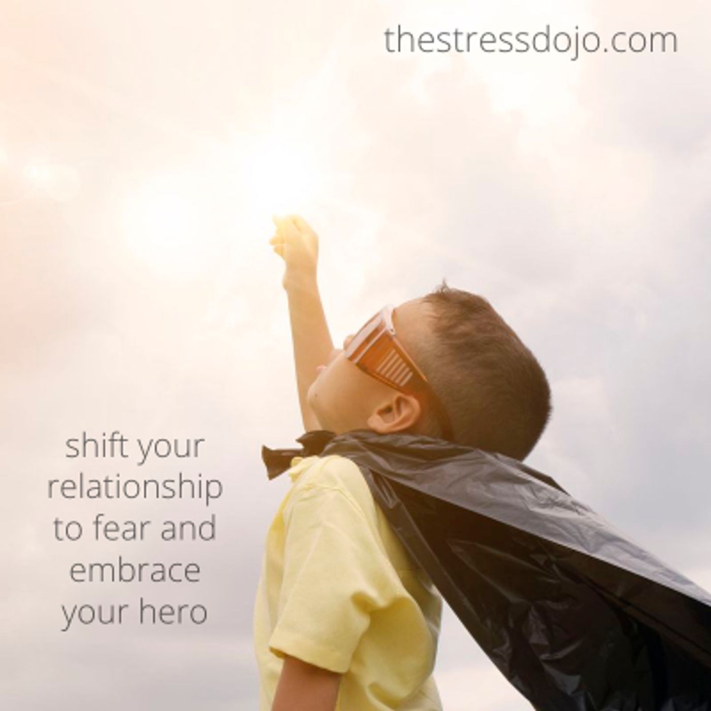 The Stress Dojo