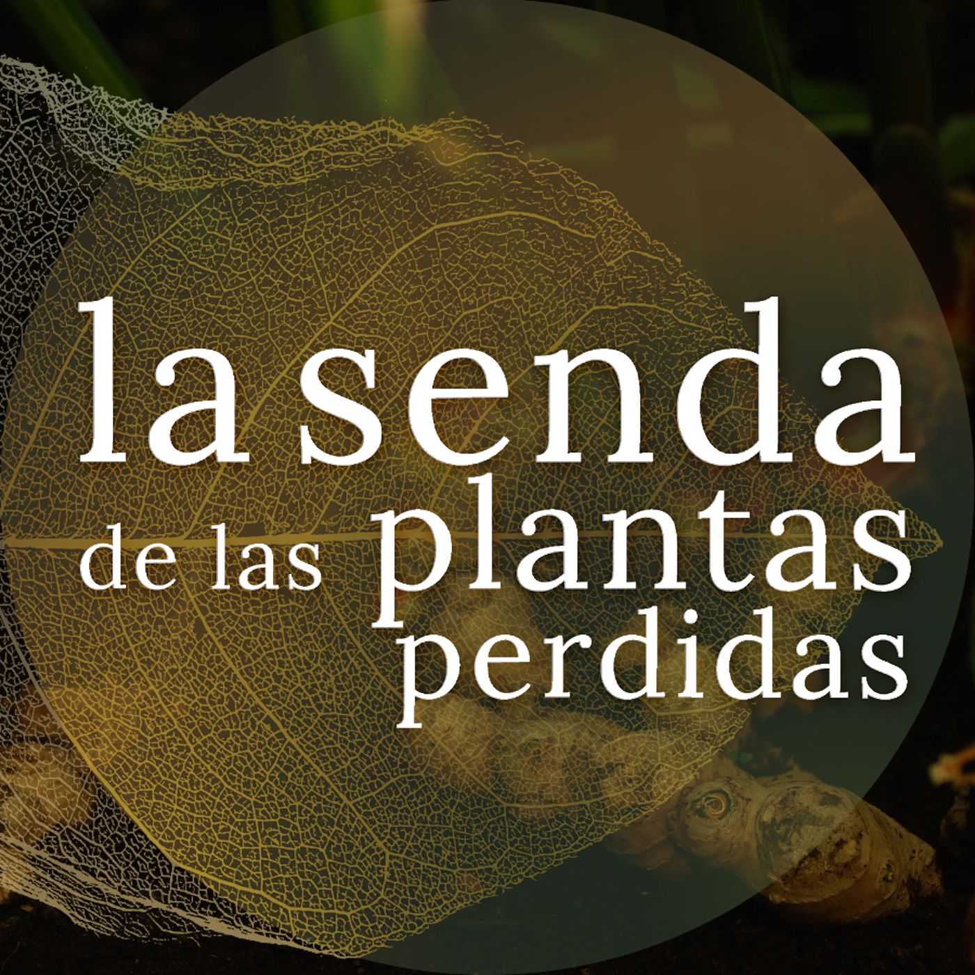 La Senda de las Plantas Perdidas