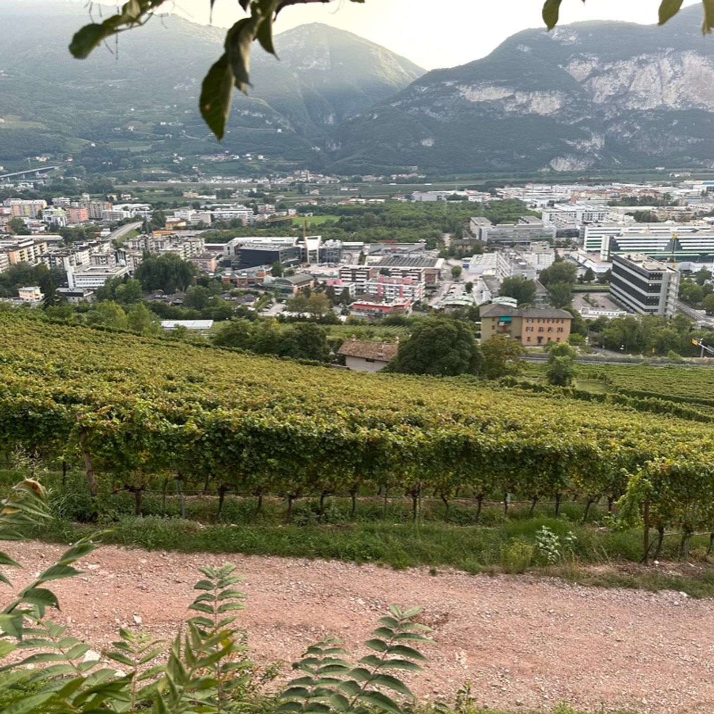 Lavoro agricolo a Trento episode artwork