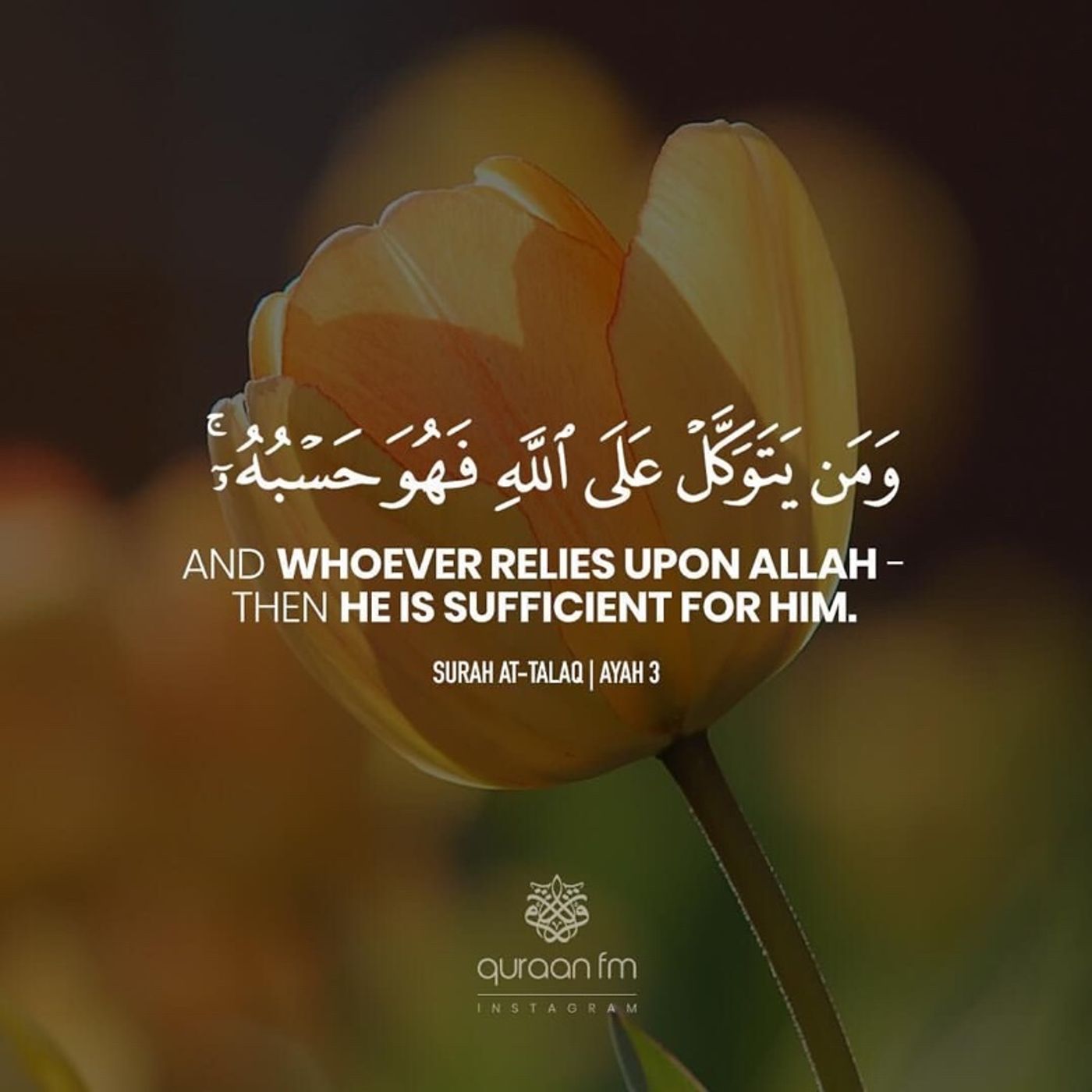 Episode 44- Surah AL Qariah Episode 44- Surah AL Qariah