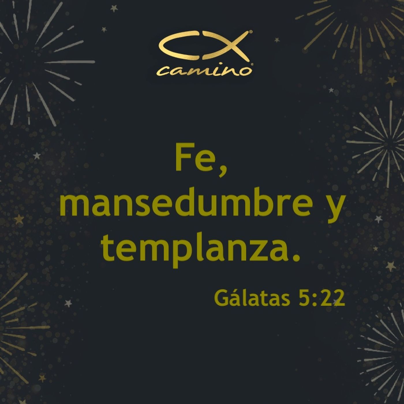Oración 28 de diciembre (Fe, Mansedumbre y Templanza) episode artwork