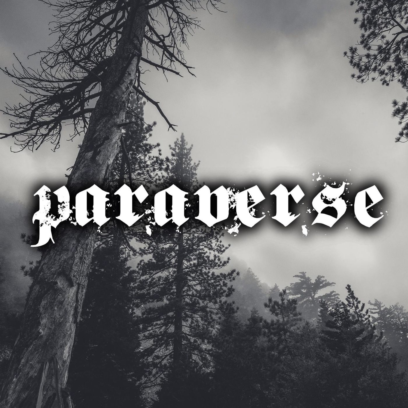 Paraverse - Live show and podcast series