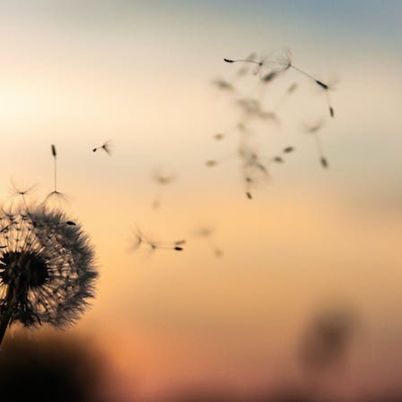 My Joy Is So Short-Lived — How Do I Make It Last?