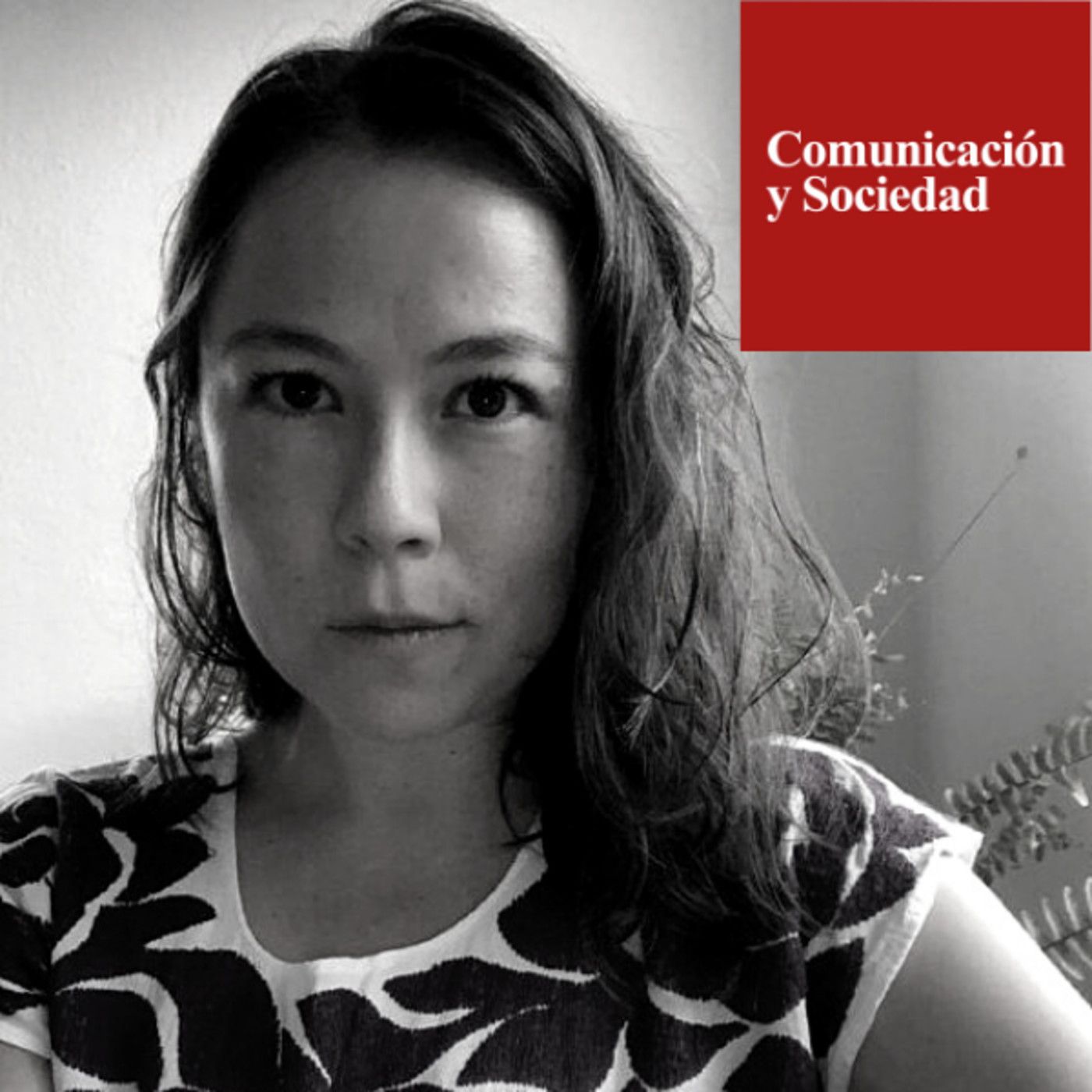 Comunicación y Sociedad