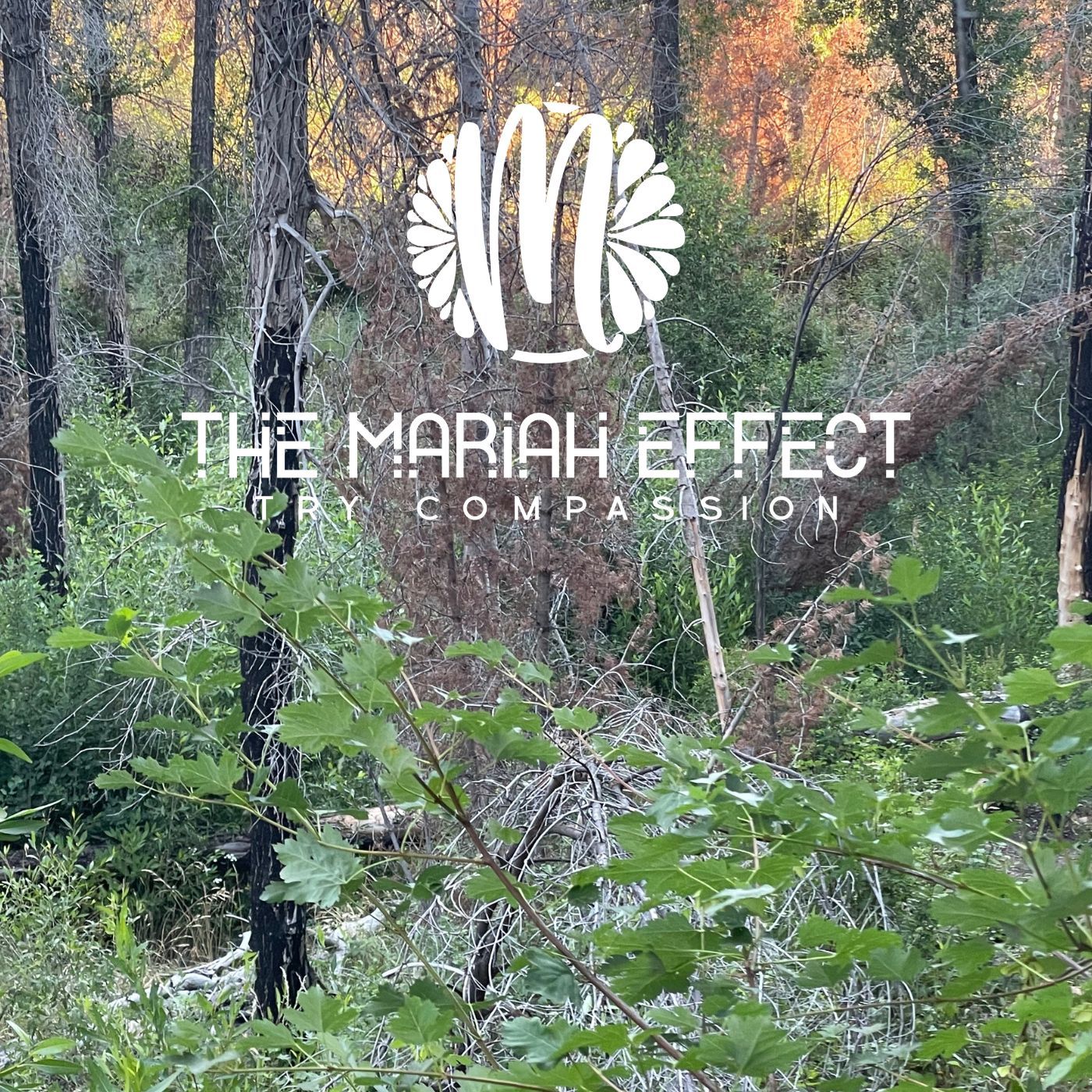 The Mariah Effect