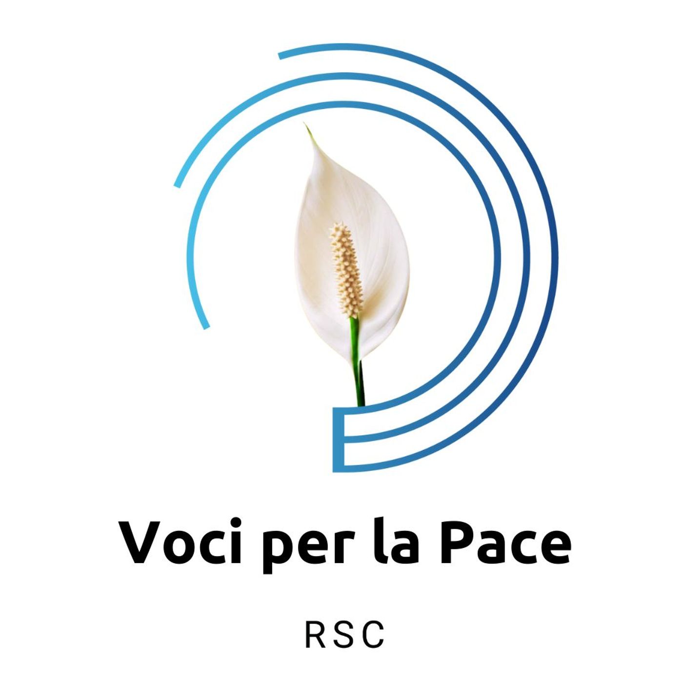 Voci per la pace