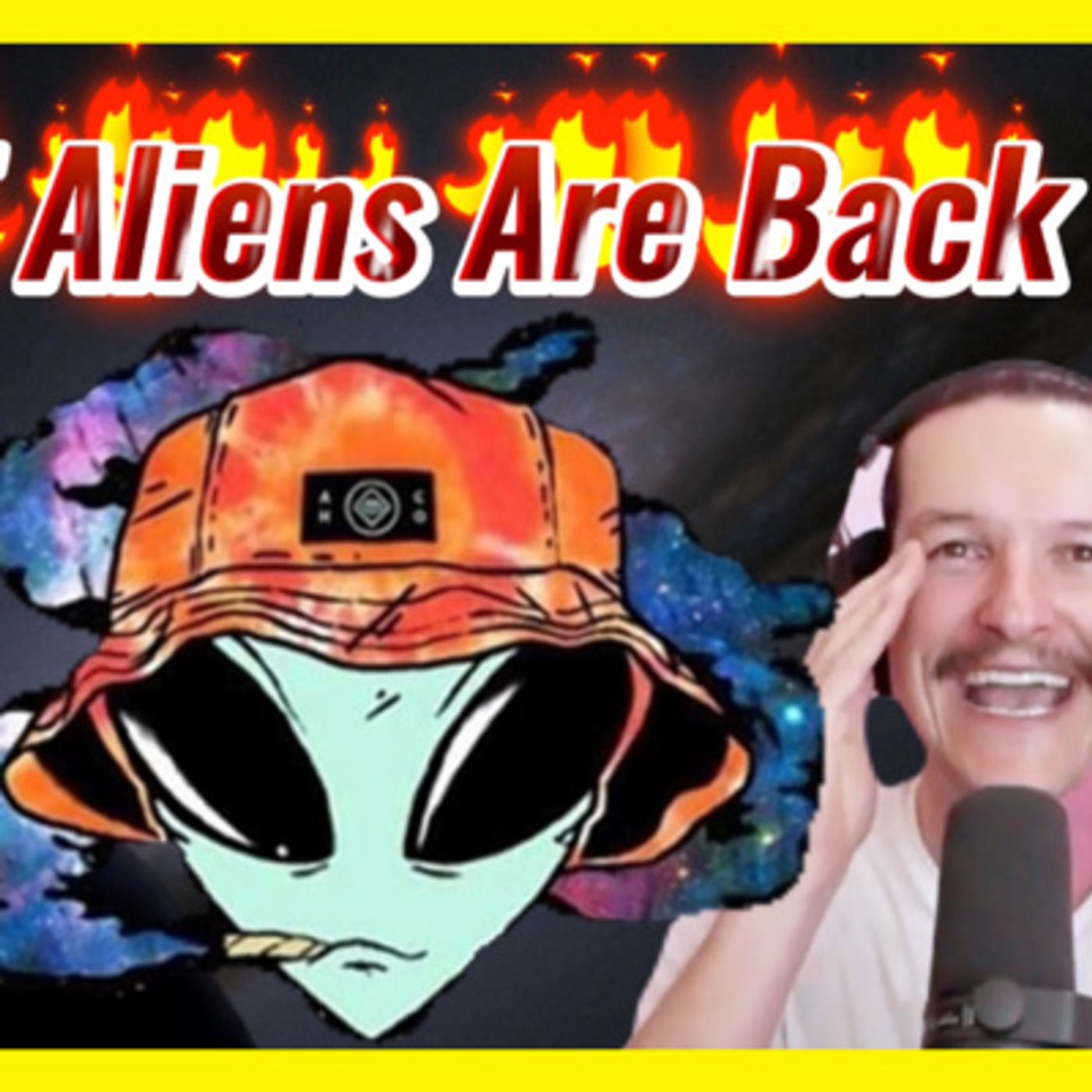 Clip 13 - The DMT Smoking Aliens / Demons / Nephilim / Fallen Angels Are Back Baby! episode artwork