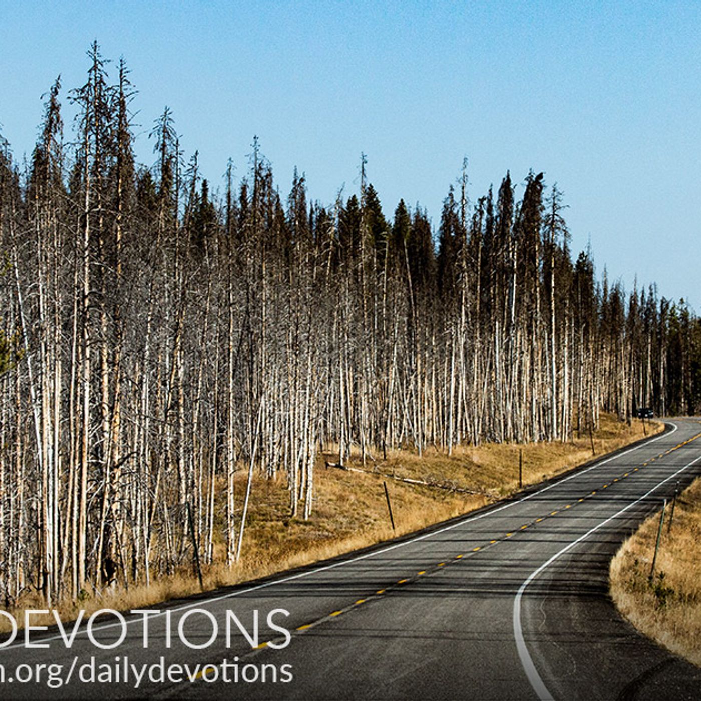 Daily Devotions - There You Will Find Refuge