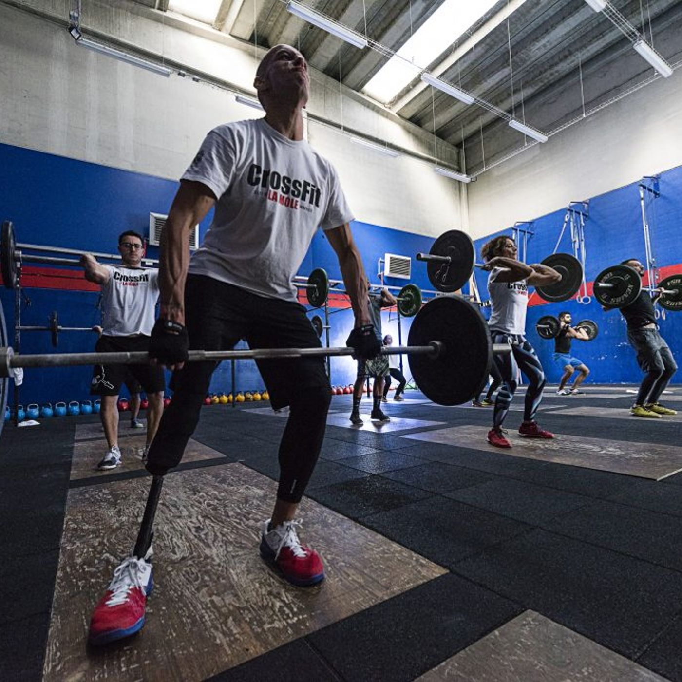 Barbell Bridge Pavia