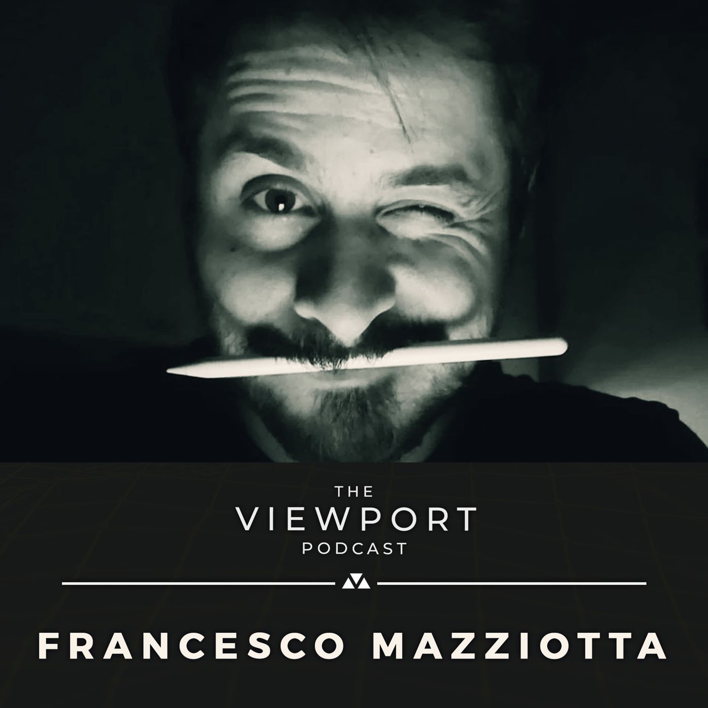 The Viewport Podcast