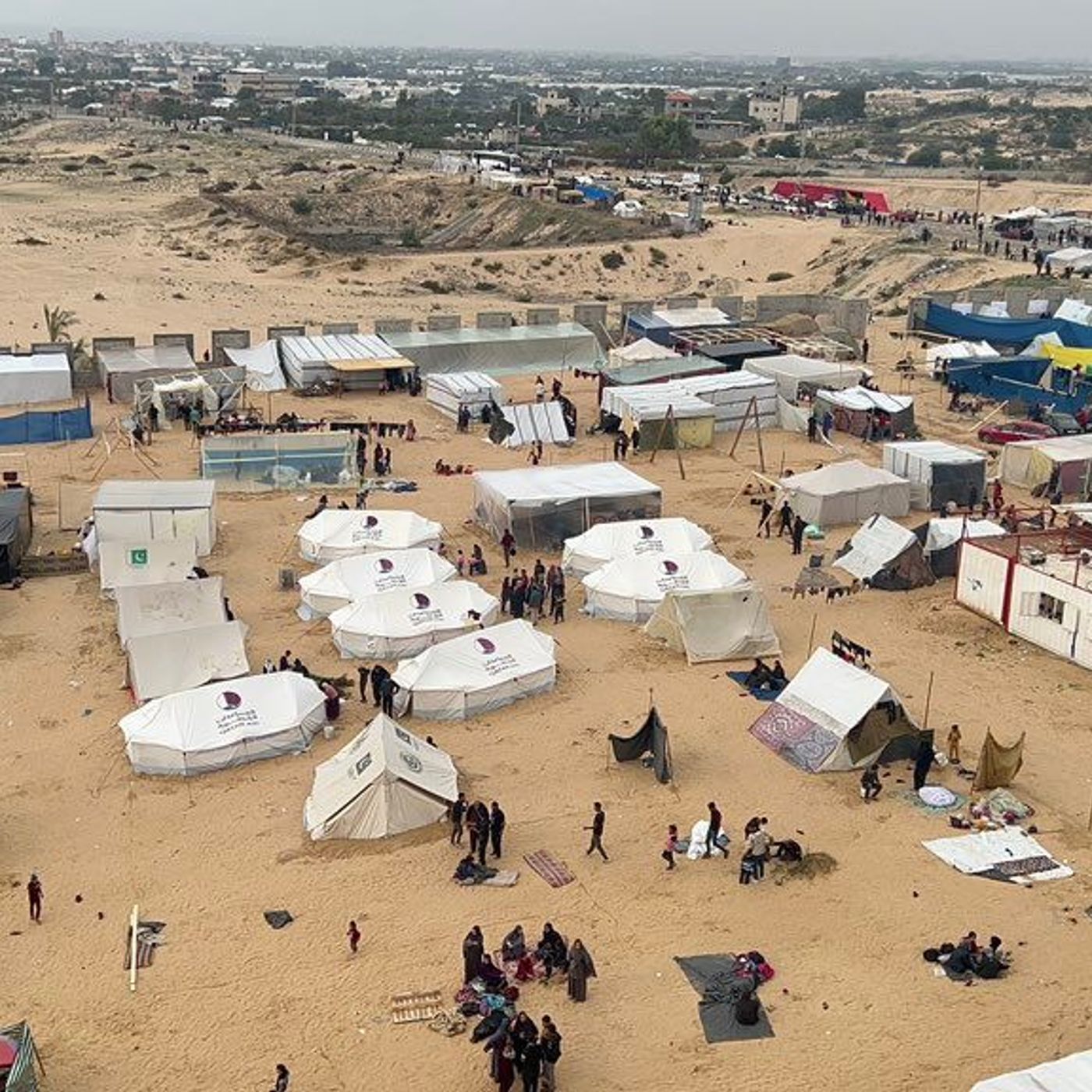 GAZA: "I soldati ci hanno preso la casa, sparano sui civili. Denunciamo il mondo intero" episode artwork