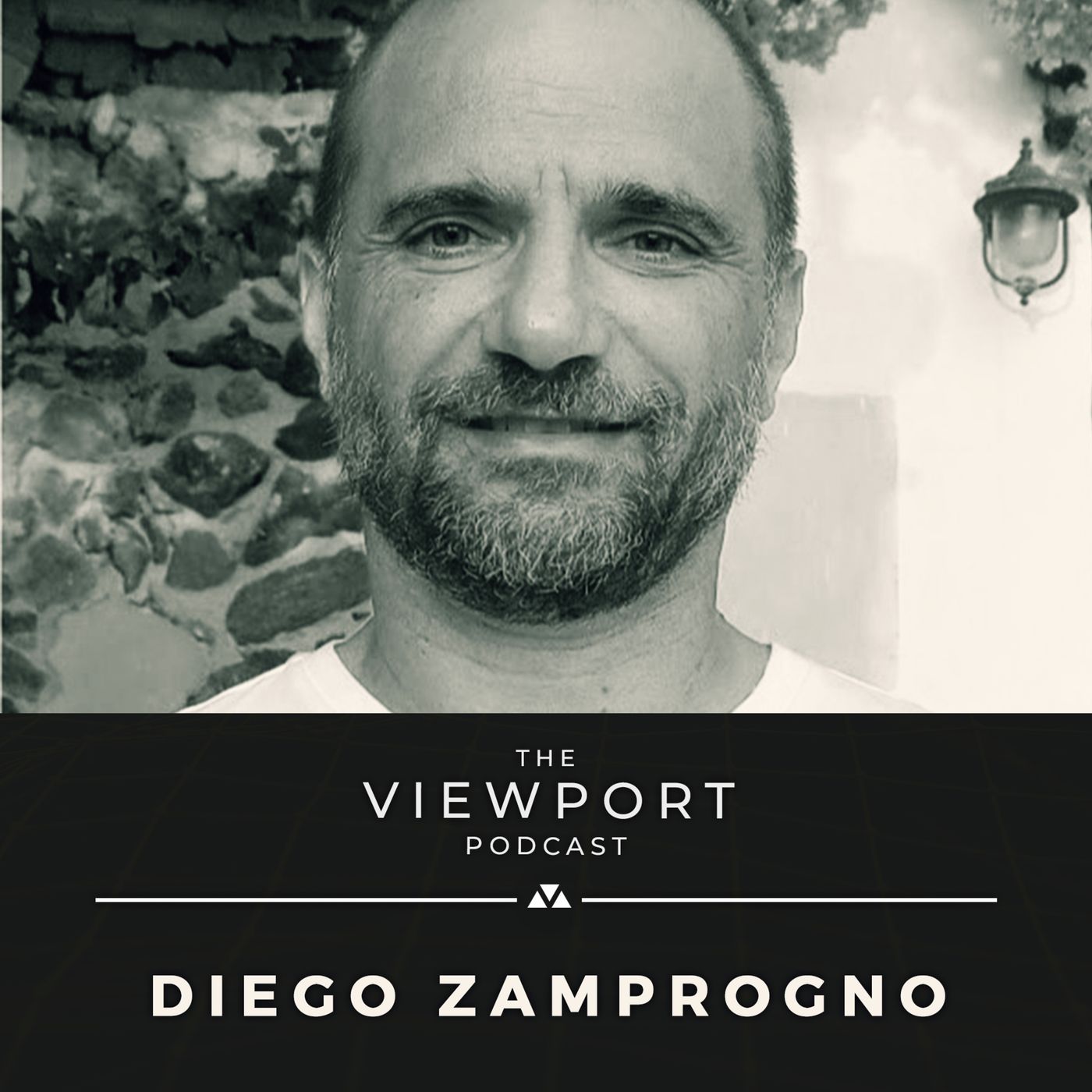 The Viewport Podcast