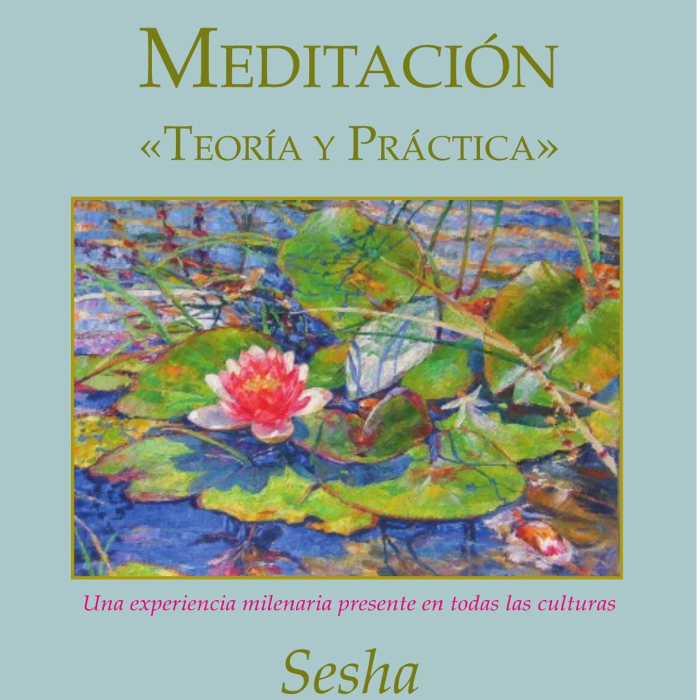 Practicas Meditación externa
