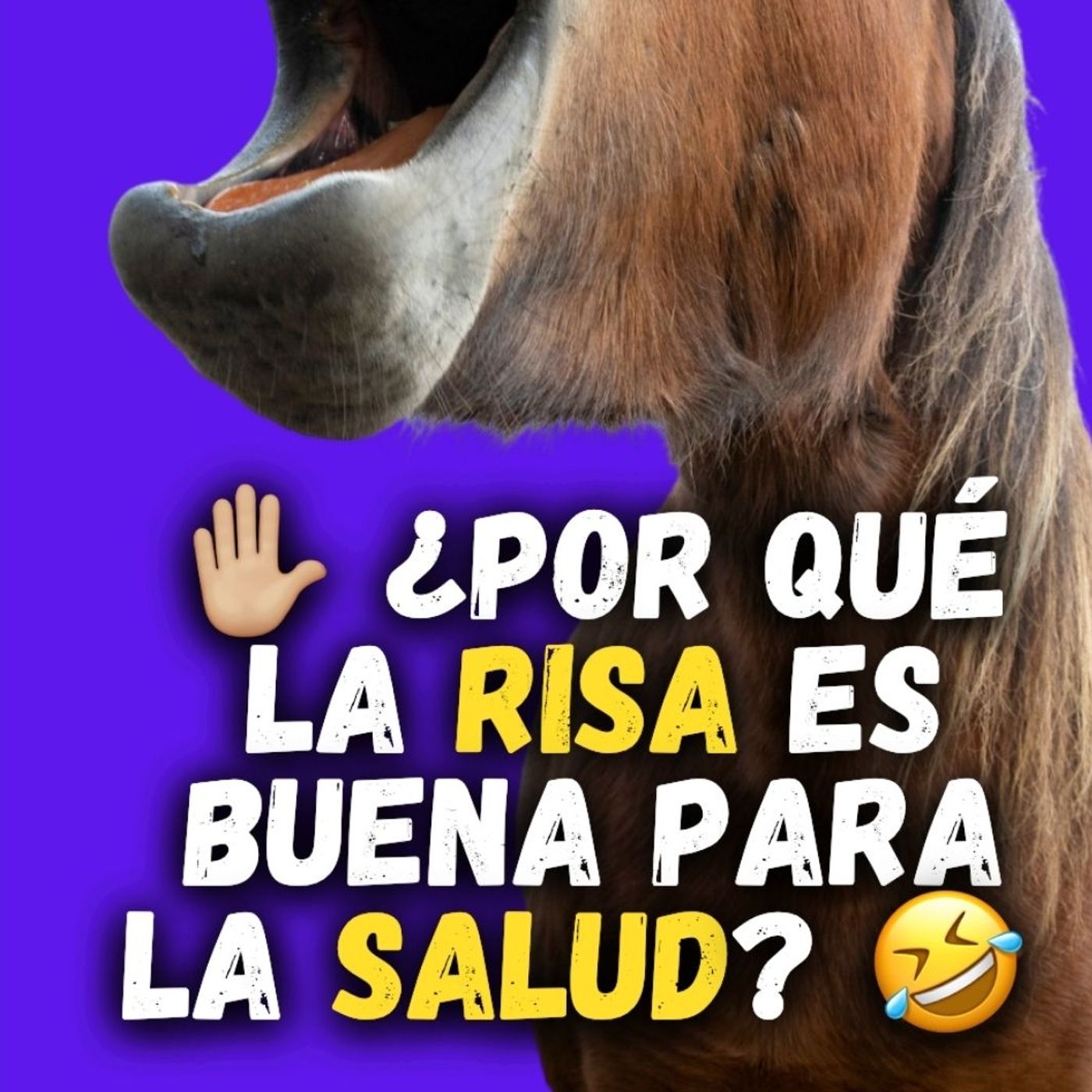 ✋🏼 ¿Por qué la risa es buena para la salud? 🤣