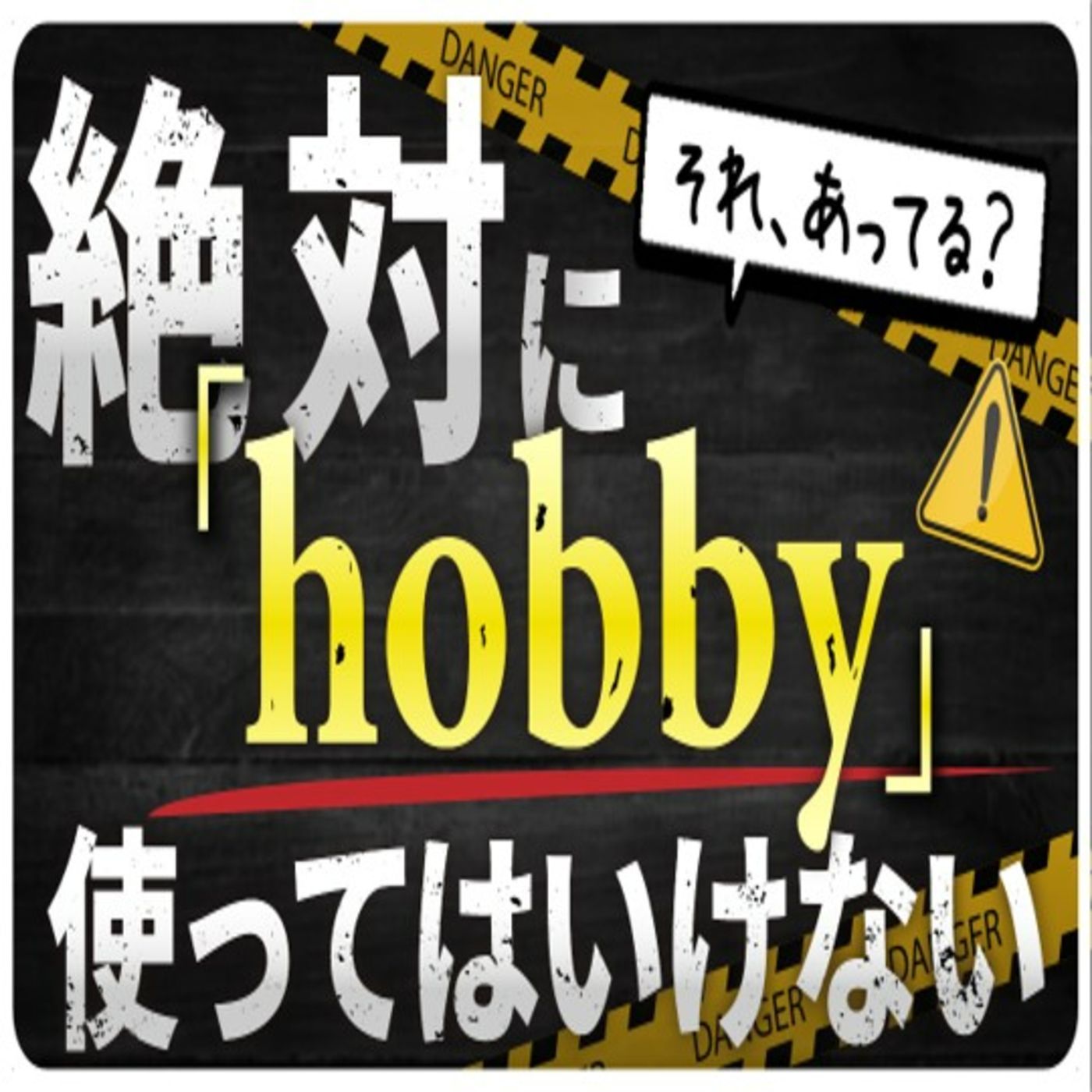 【聞き流し】英語ネイティブが趣味について話す正しい会話フレーズ【hobby使ってはいけない】