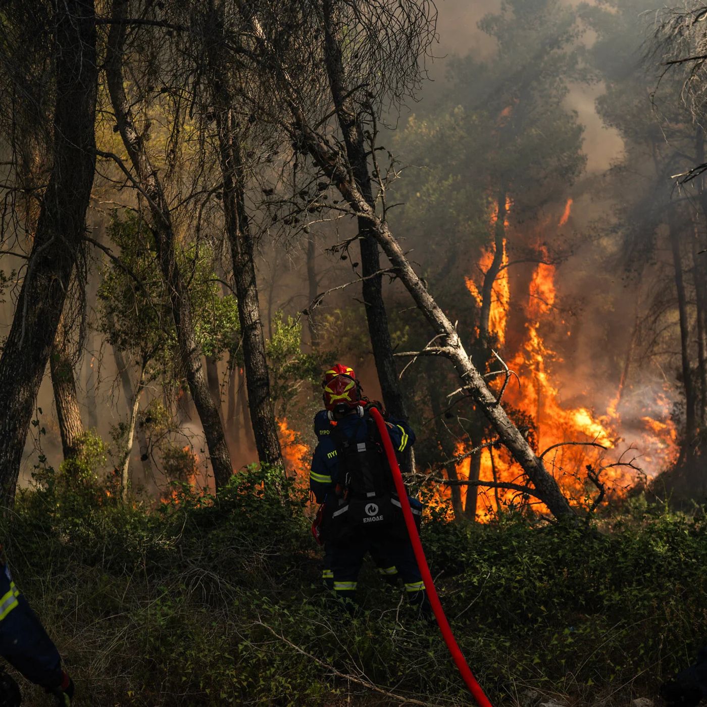 Have wildfires and heatwaves changed holidays in Europe for good episode artwork