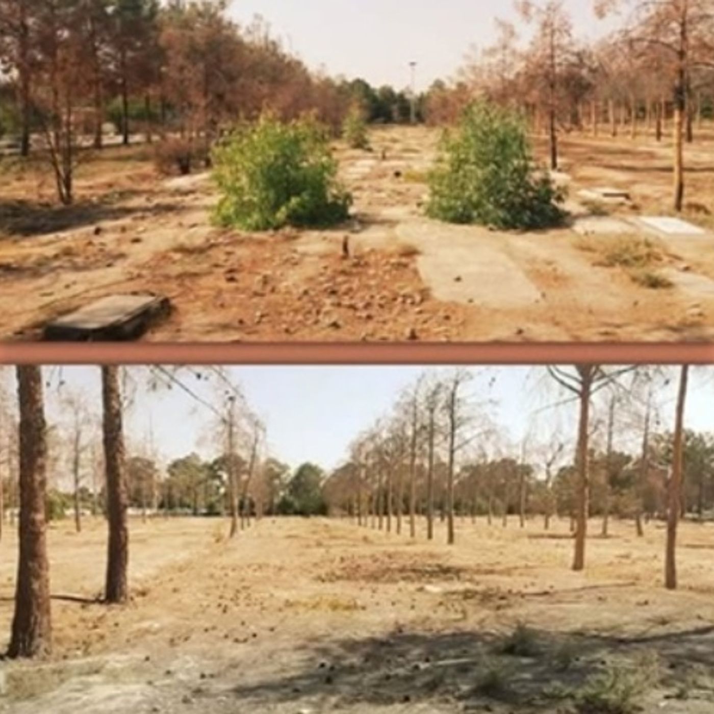 تخریب مزار شهیدان؛ ادامة جنایت علیه بشریت