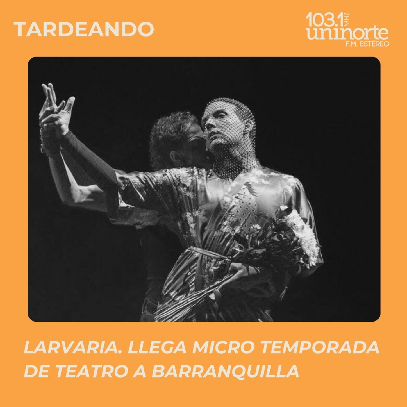 Larvaria :: Micro temporada de teatro en Barranquilla episode artwork