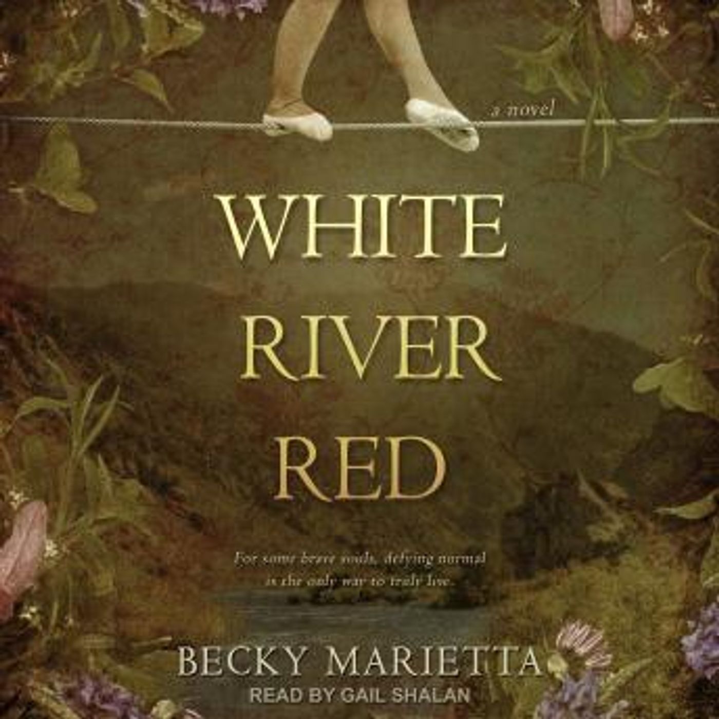 Download Top Full Audiobooks in Fiction, Contemporary Women