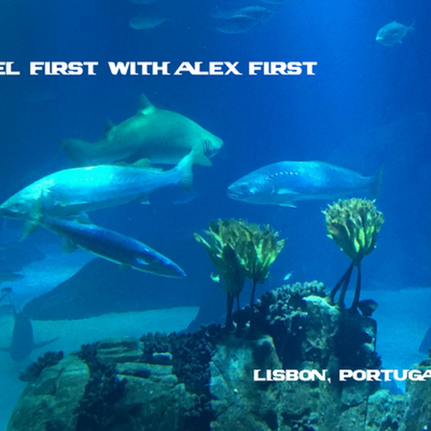 40: Lisbon, Portugal - Day 5