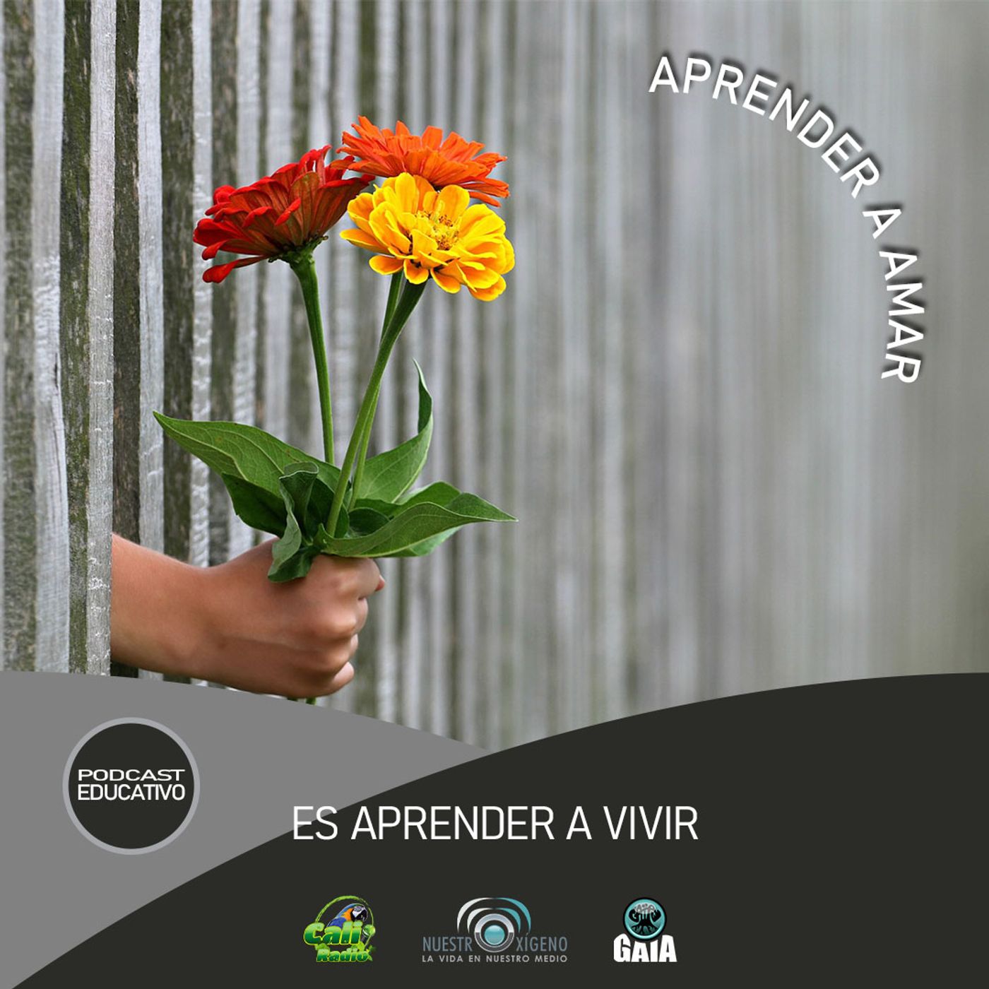 2024 Nuestro Oxígeno 02- Febrero