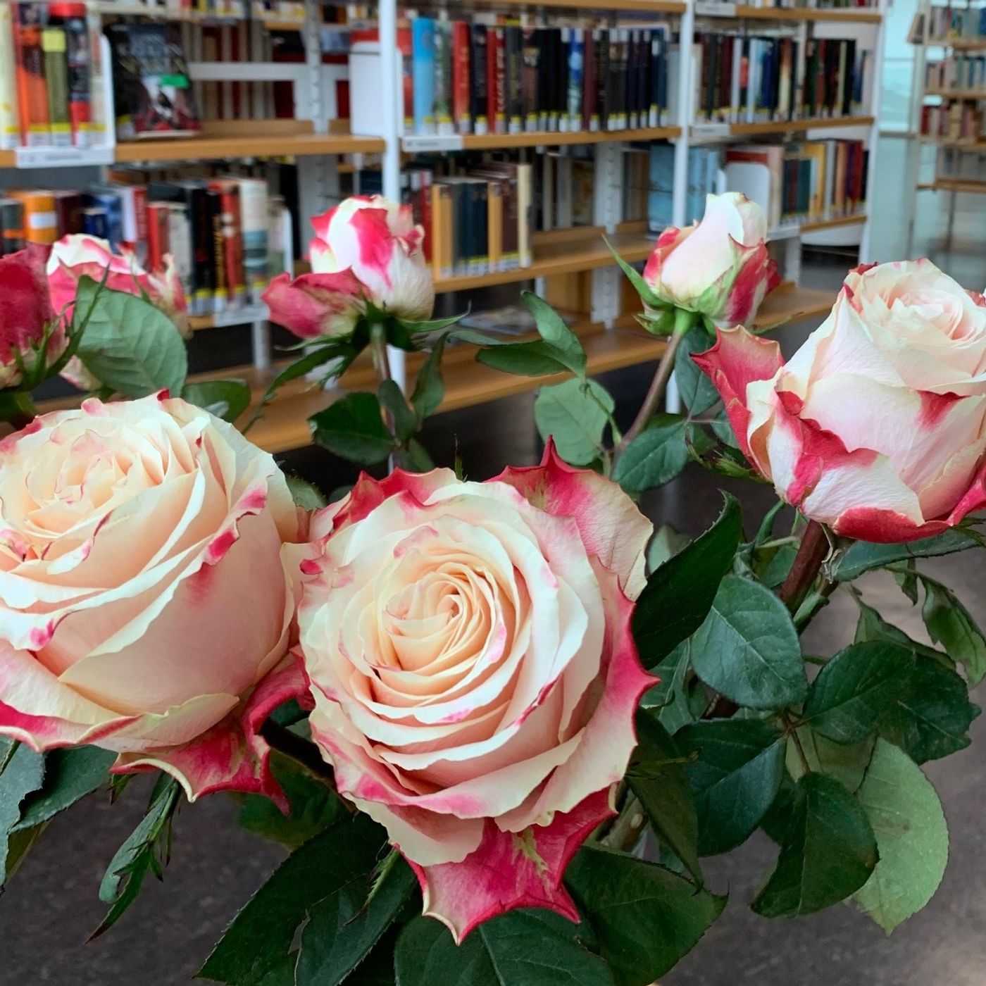 Mittwochs in der Bibliothek