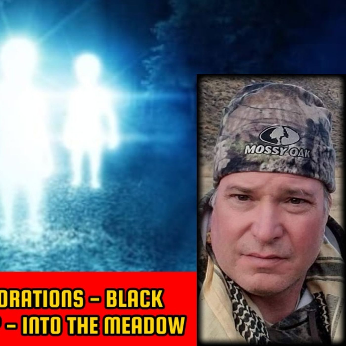Para-dimensional Explorations - Black Projects or Metaphysics? - Into The Meadow | Trey Hudson