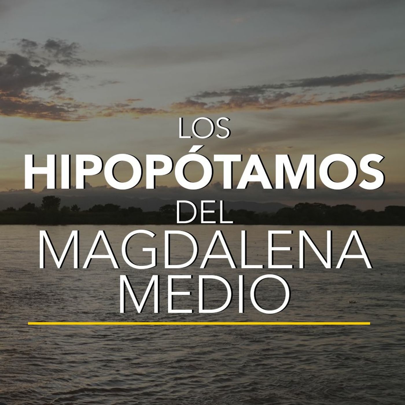 Los hipopótamos del Magdalena Medio | Desafíos RCN-Javeriana episode artwork