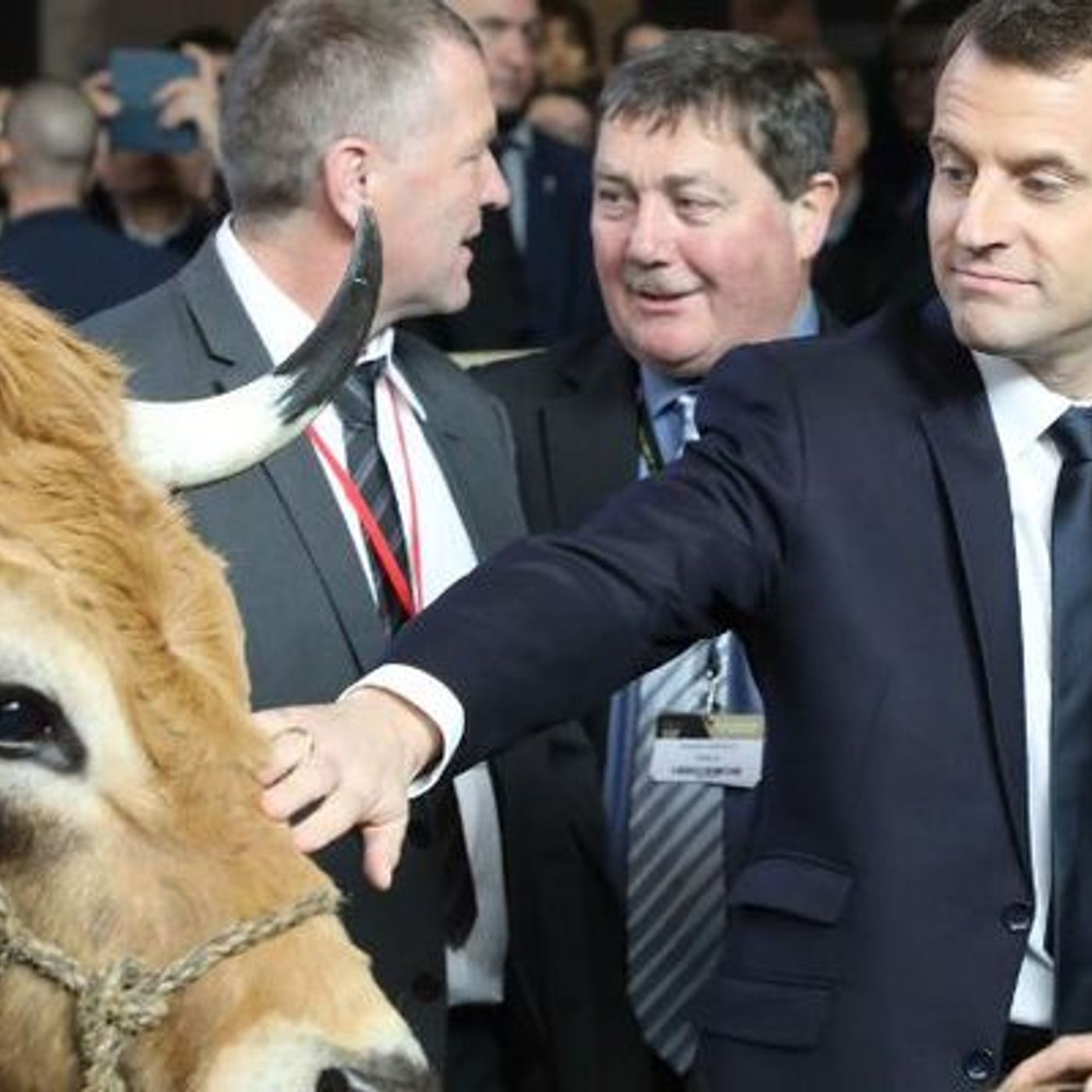 Francia24: Niente Mucche al Salone dell'Agricoltura -    Sonia Mabrouk a BFM Business - L'Editoriale di Rachel