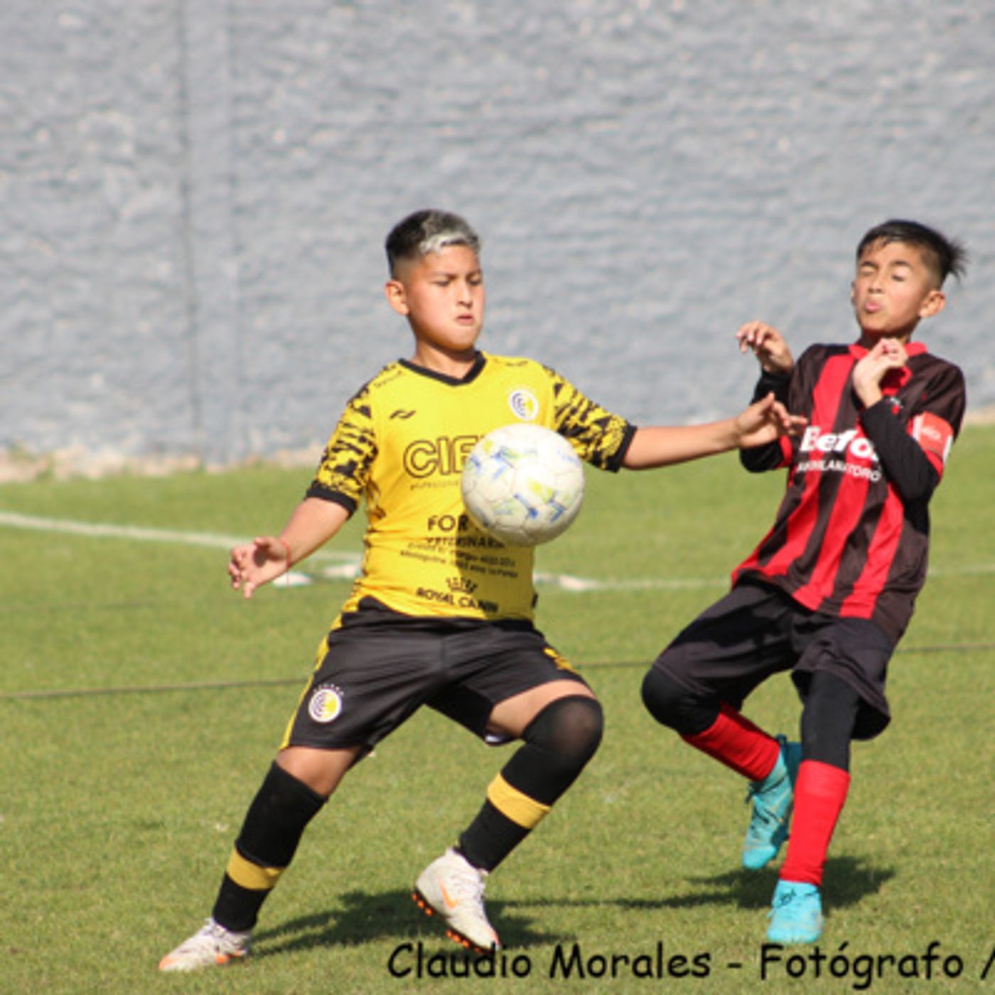 Pregoneros Radio