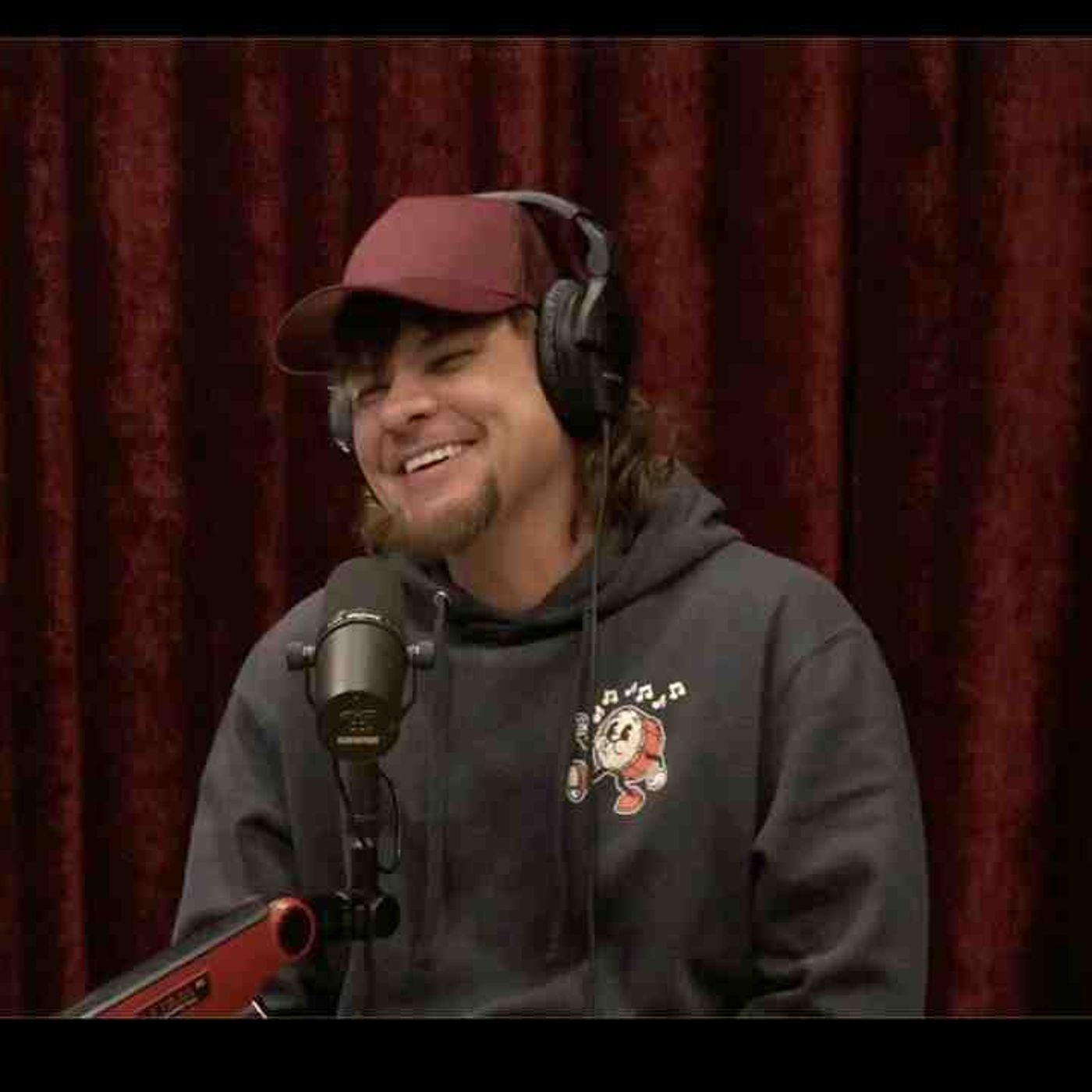 Joe Rogan Experience _2253 - Theo Von(MP3_160K)