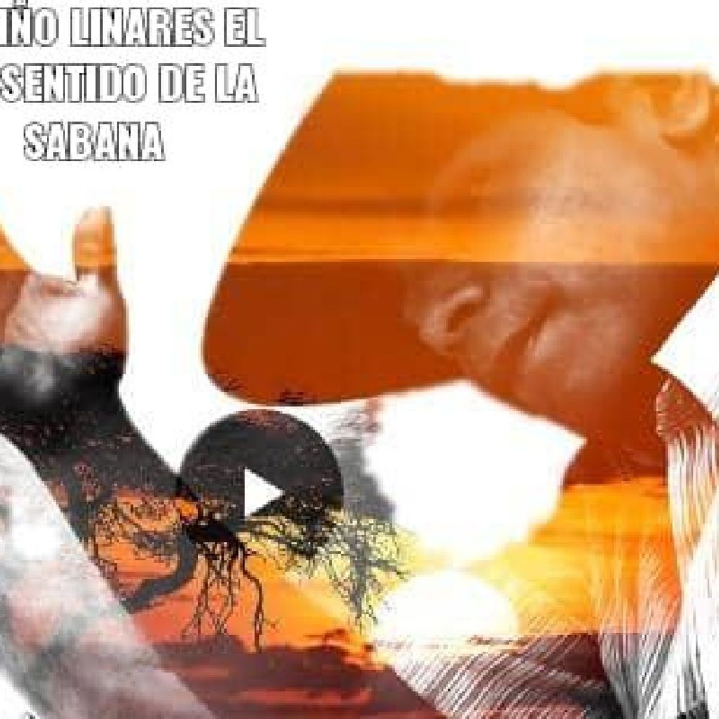 El RAYO Del Llano