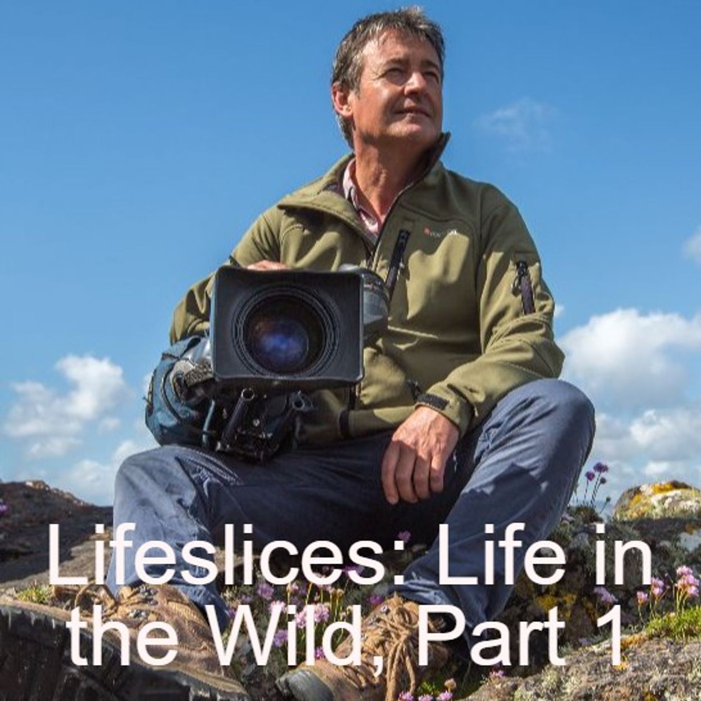 Lifeslices: Life in the Wild-Part 1 episode artwork