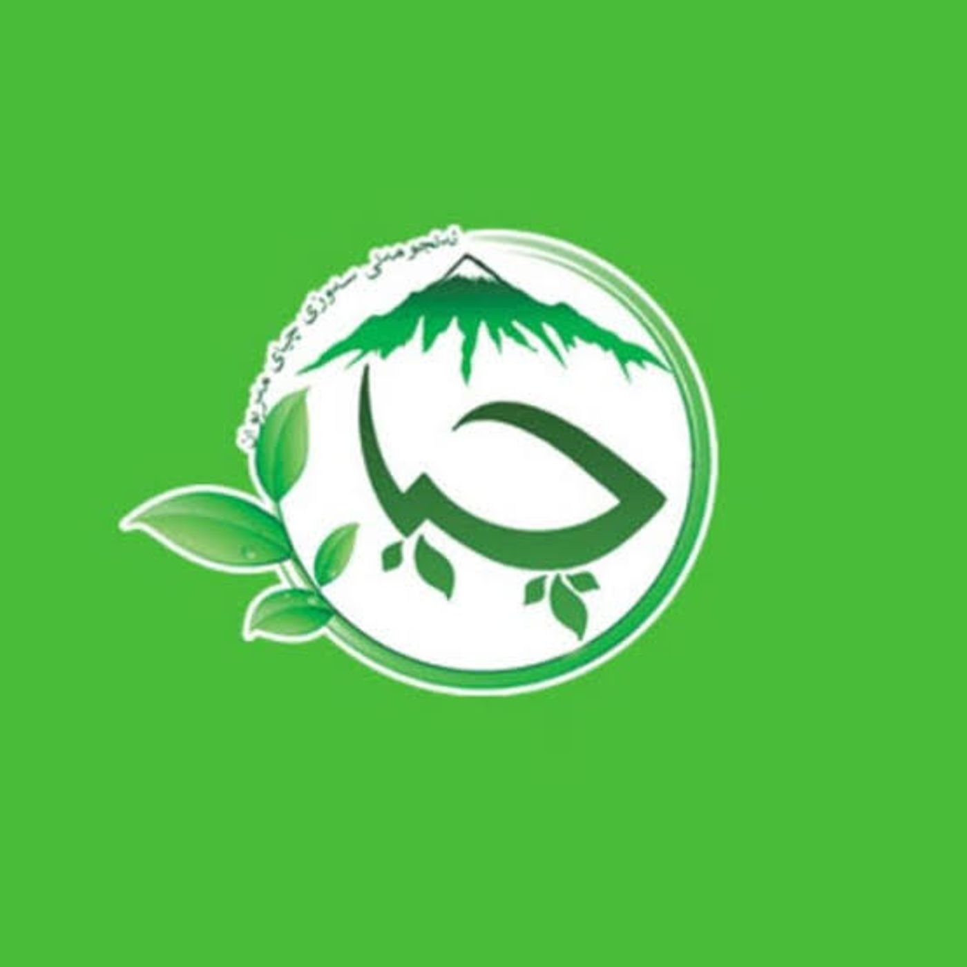نقش مخرب فعالان جامعه مدنی(جافی) episode artwork