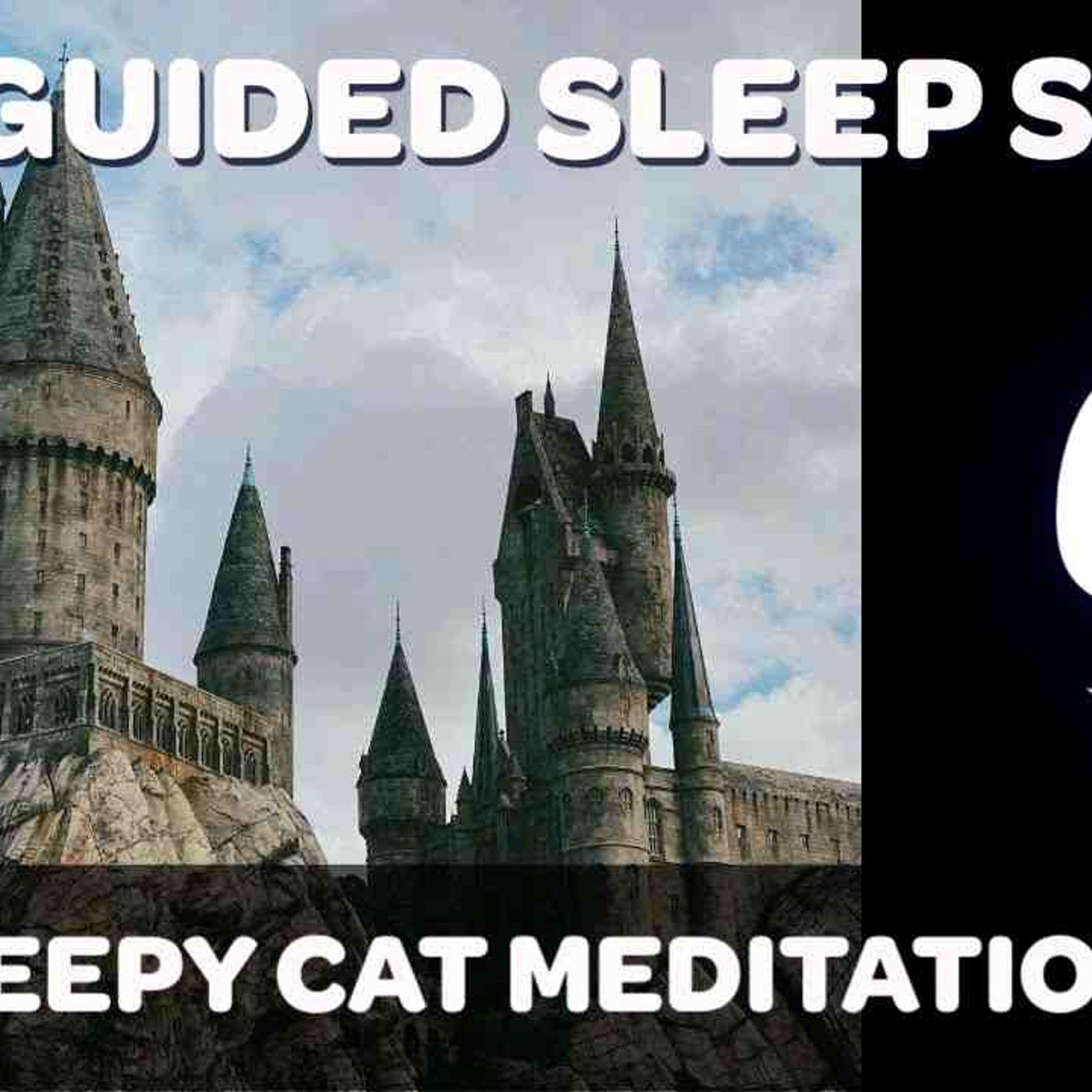 Dumbledore_ Fawkes _ Flying Lessons - Harry Potter Inspired Sleep Story (_Yer a Wizard_) episode artwork