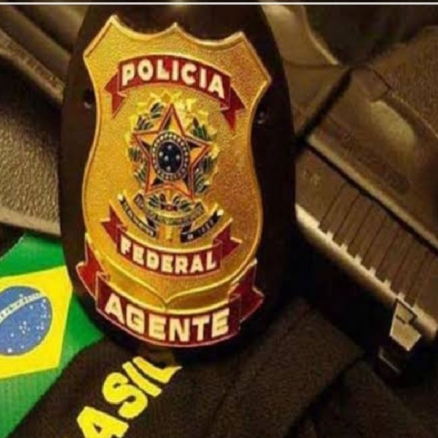 Nosso Direito Constitucional