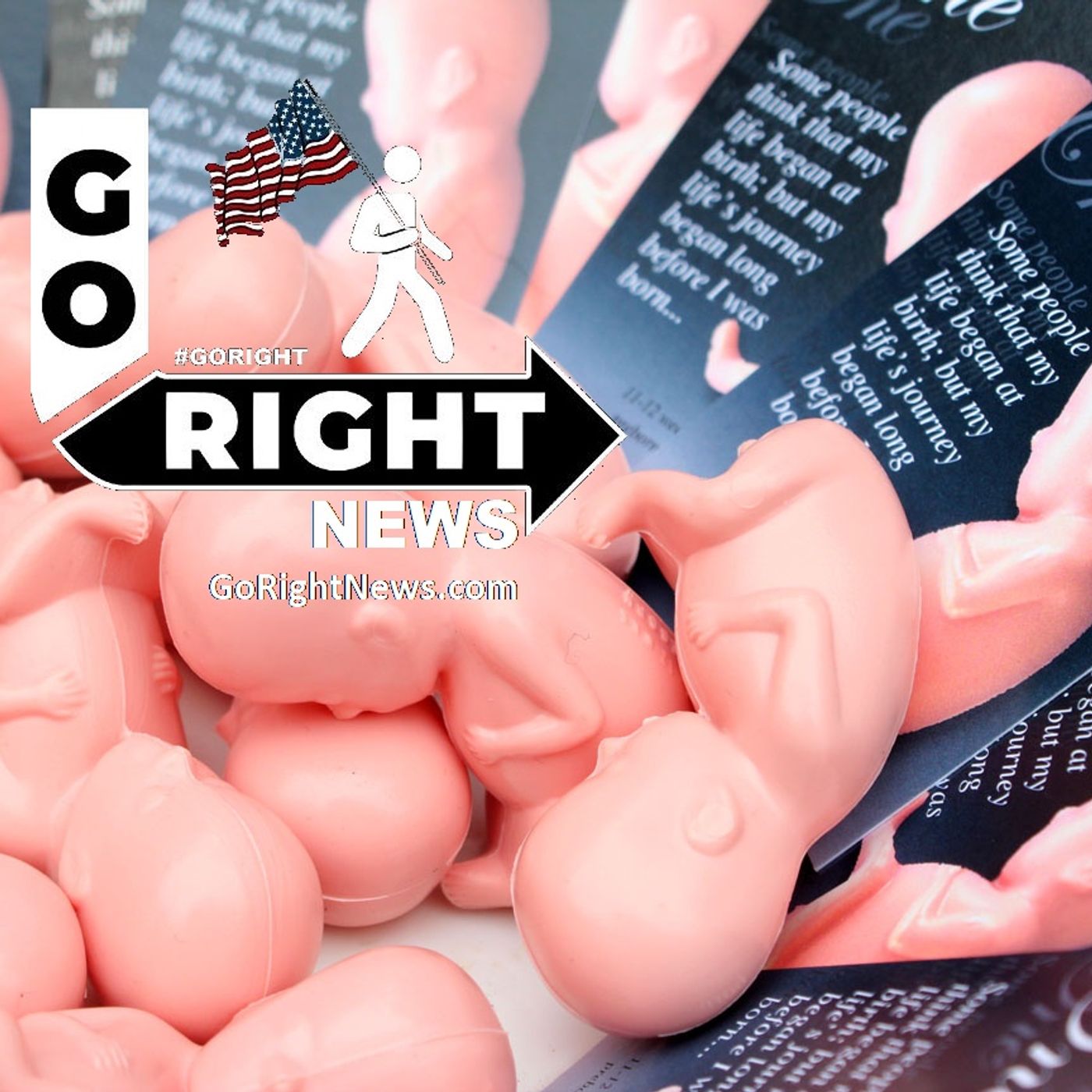 HARVESTING THE ORGANS OF THE UNBORN