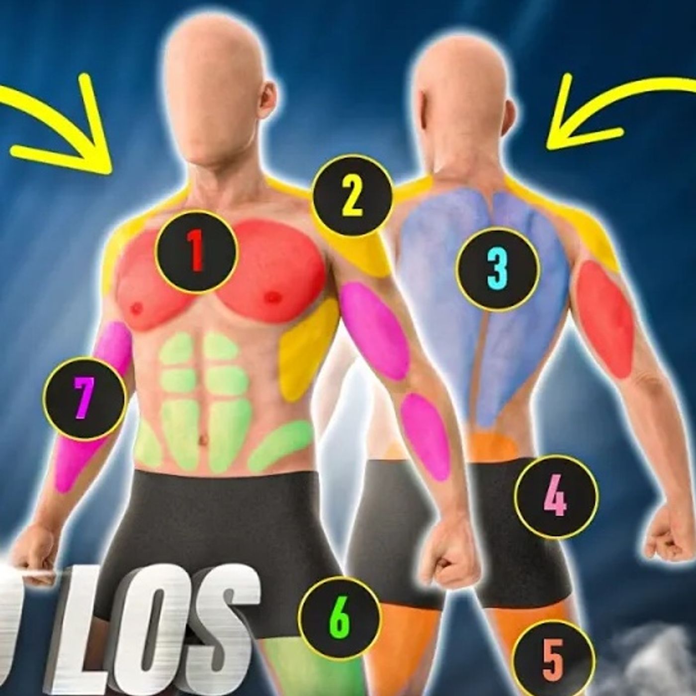 Los ÚNICOS 7 EJERCICIOS que necesitas para MÁS LONGEVIDAD, FUERZA y SALUD