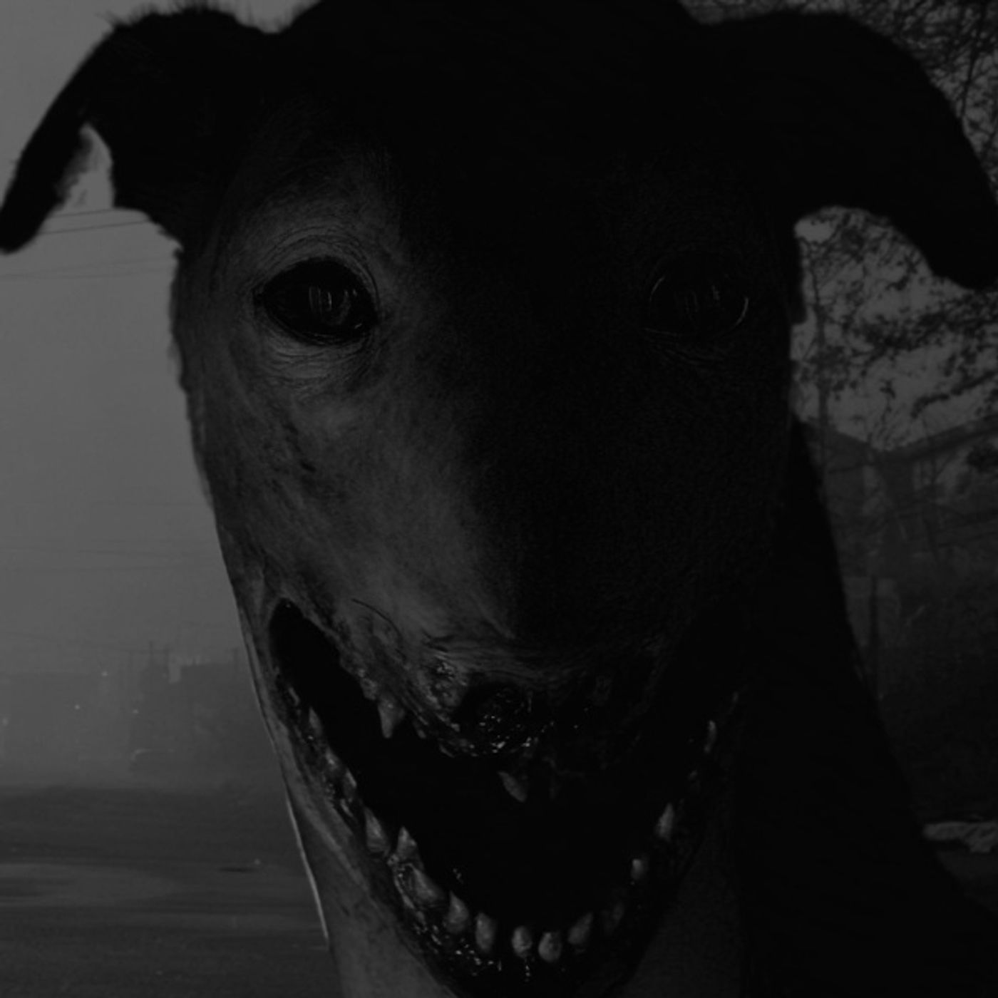 BECERROS Con Rostros HUMANOS Historias De Terror - REDE