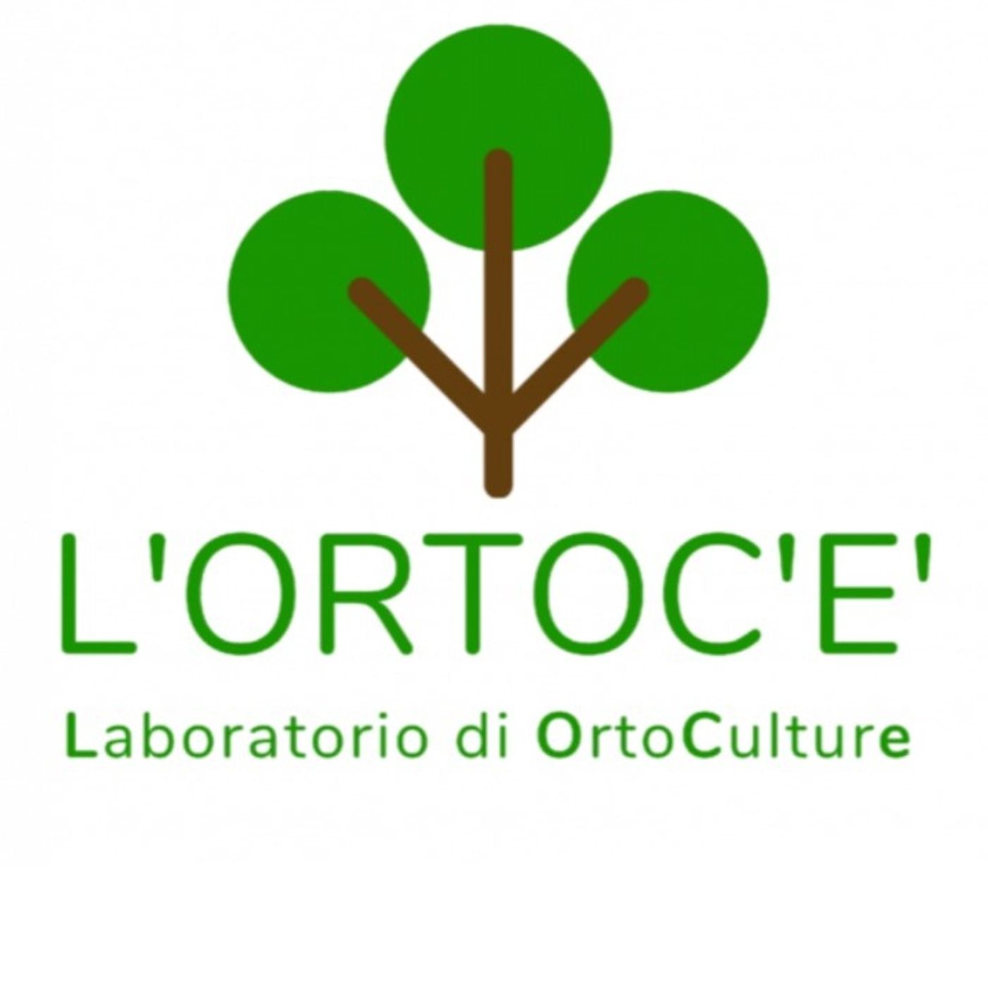 I bambini dei Grest bresciani all'opera presso l'OrtoC'è: intervista a Silvia Castellazzo  -  2 maggio 2024 episode artwork