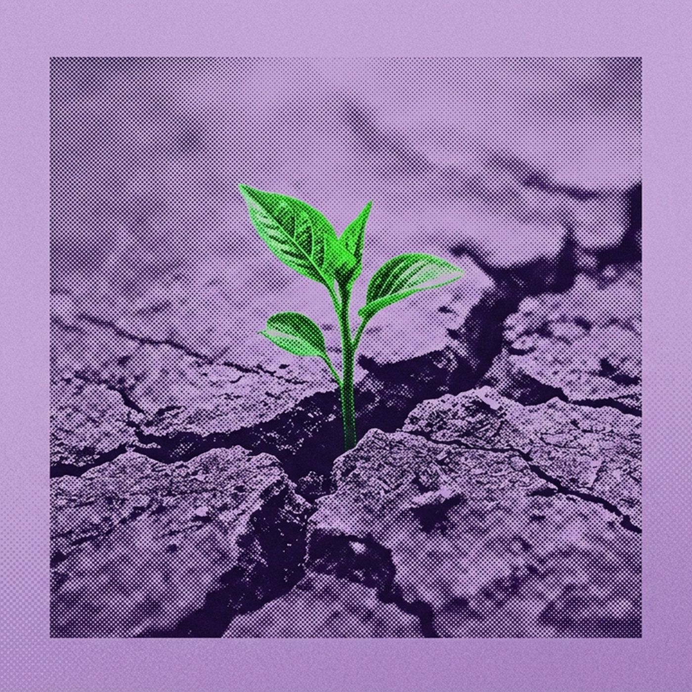 Artwork for Minutos com Deus
