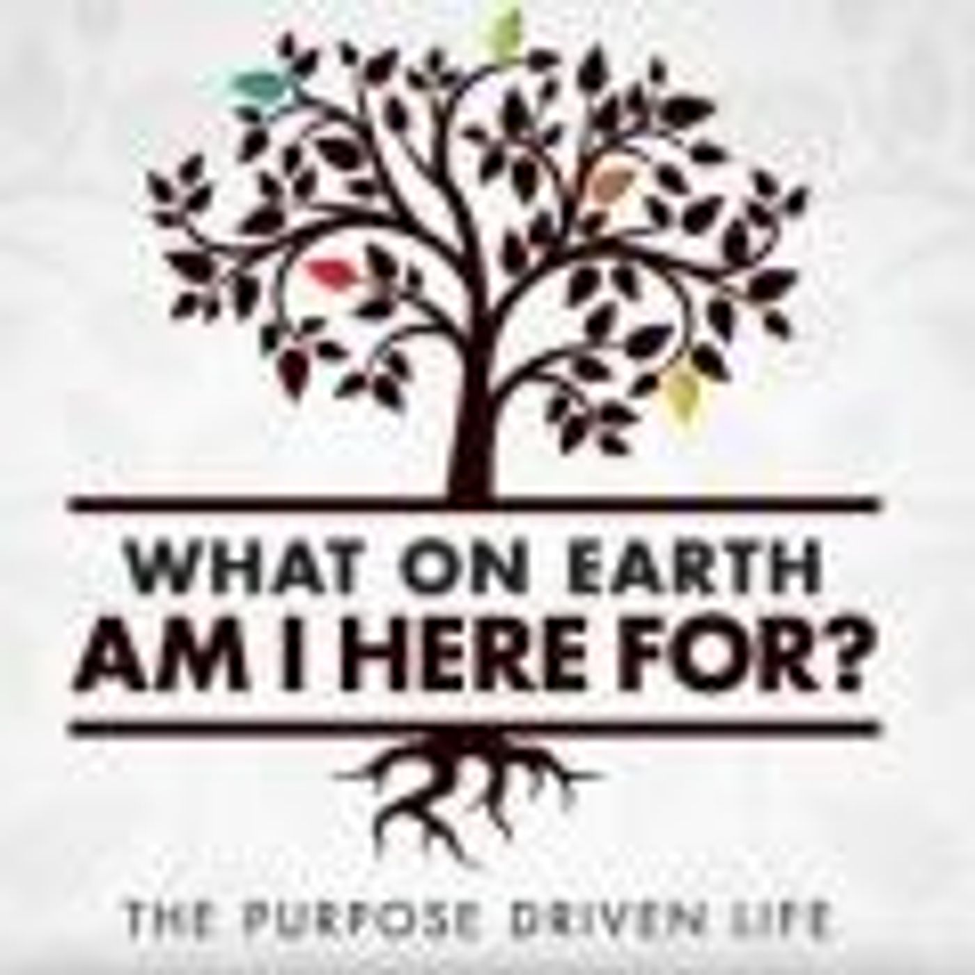 What is Our Life Purpose Here on the Earth Plane? episode artwork